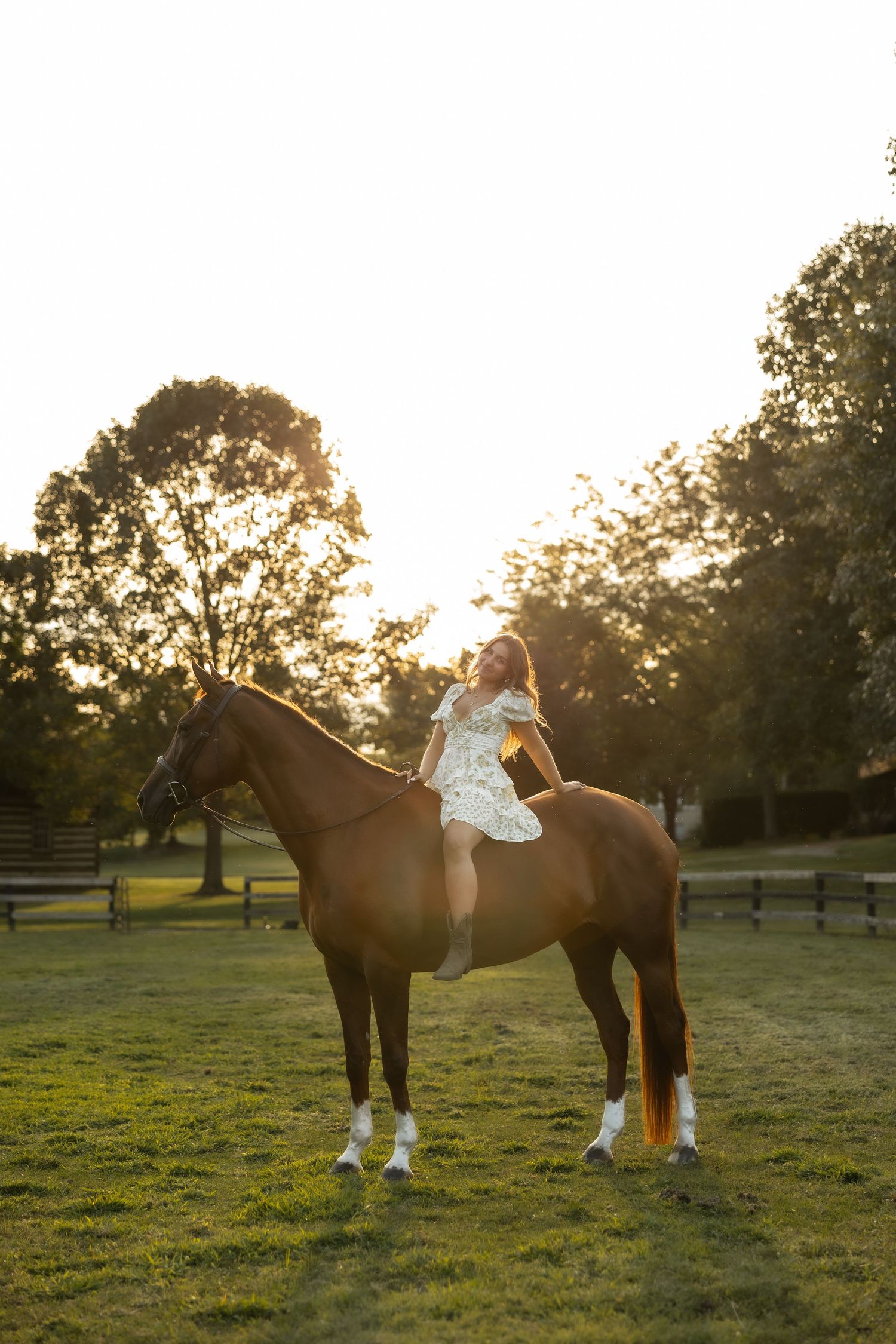 A person in white riding attire sits on a brown horse in a sunlit field at golden hour.