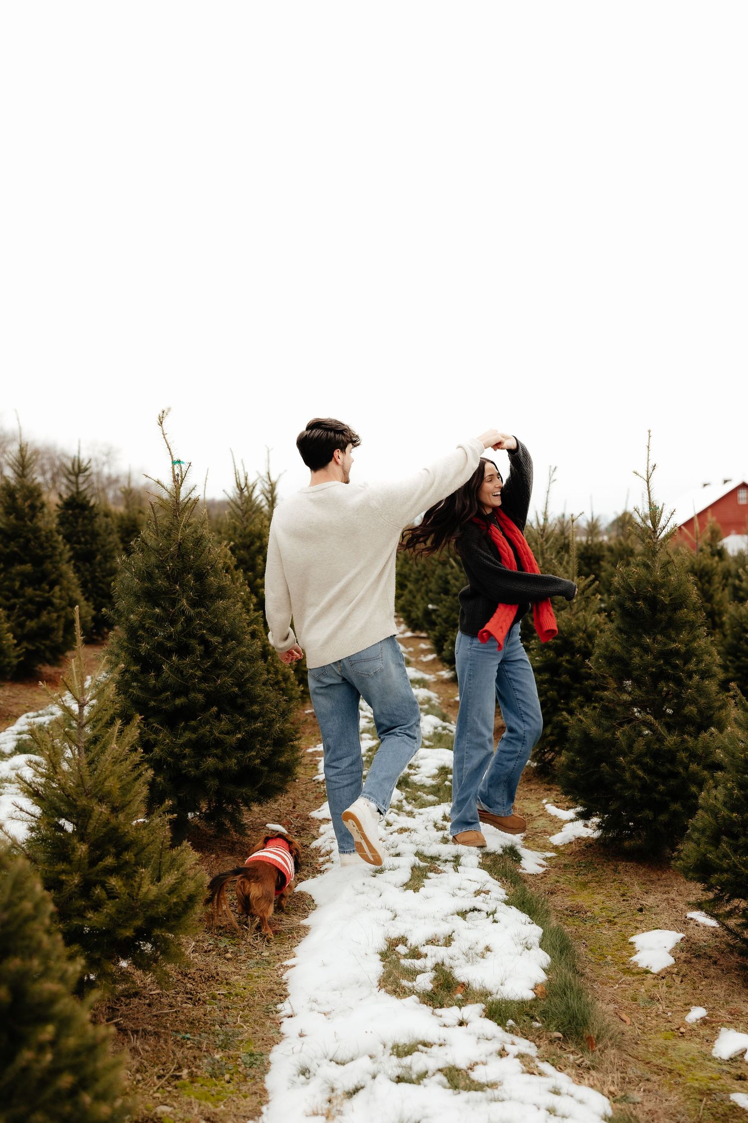 Two people walk through snowy evergreen trees at a Christmas tree farm on a winter day.