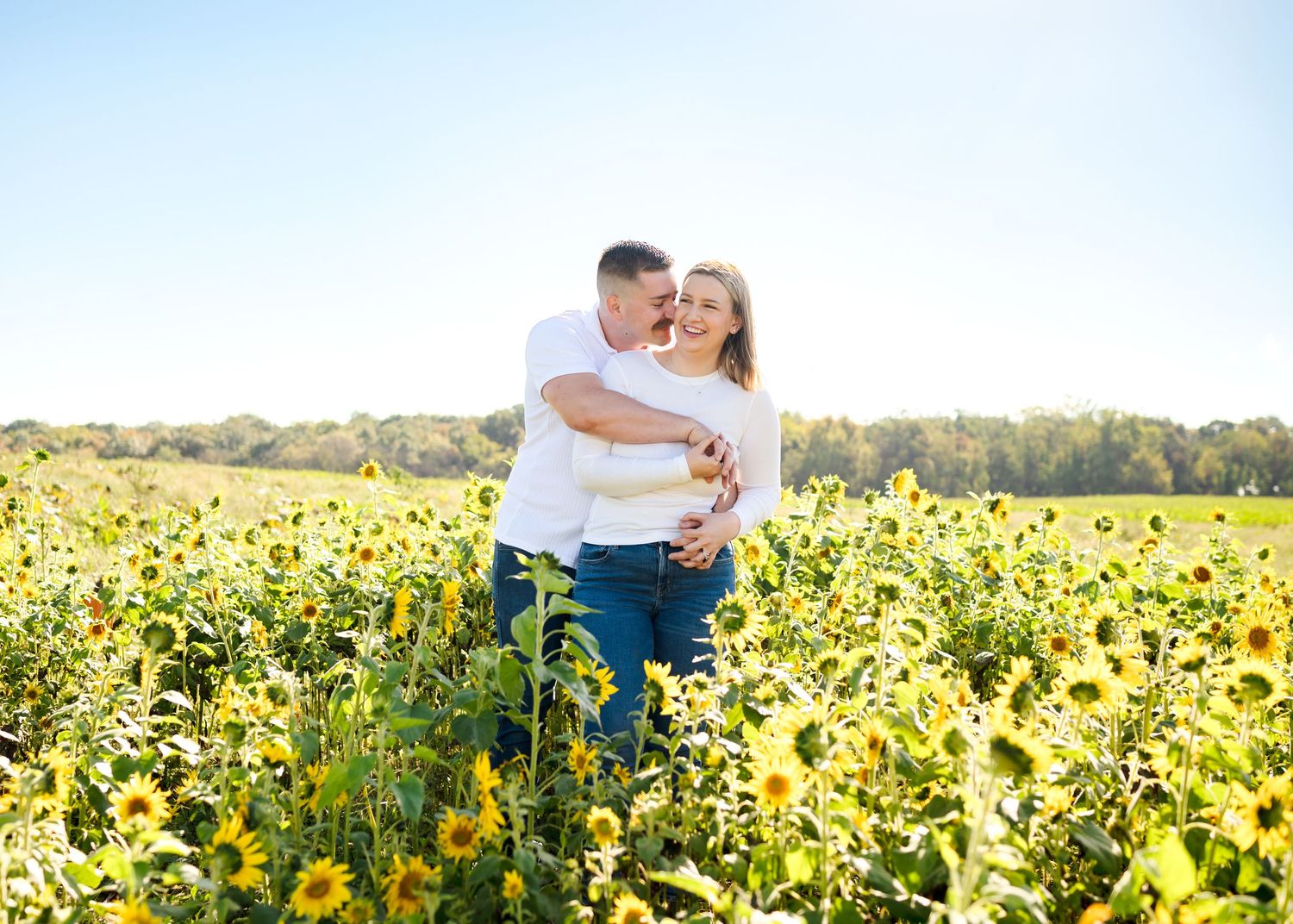 A couple embraces lovingly in a vibrant yellow sunflower field on a bright sunny day.
