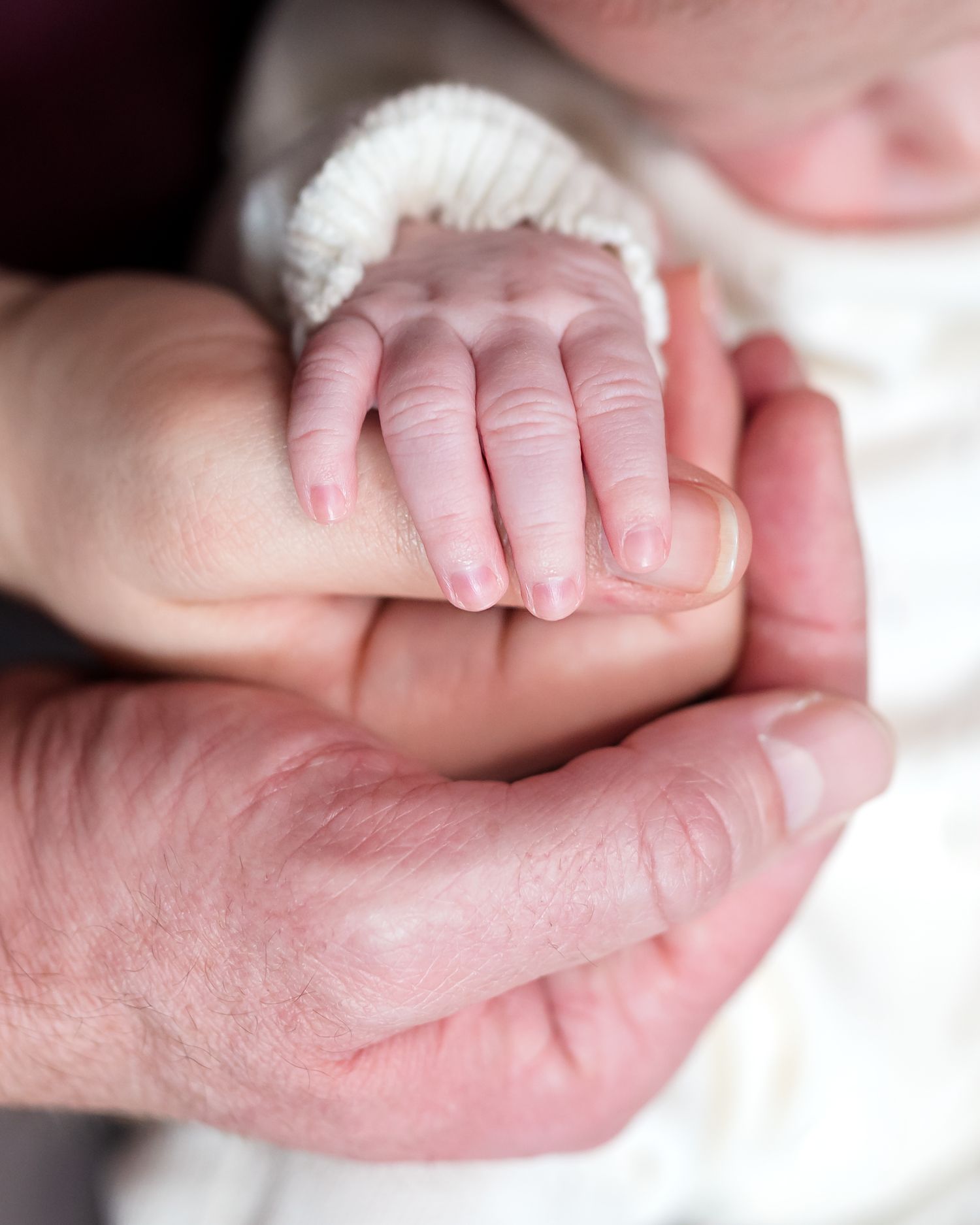 Close-up of a newborn baby's tiny hand resting gently in an adult's cupped hands, showcasing delicate fingers and nails.