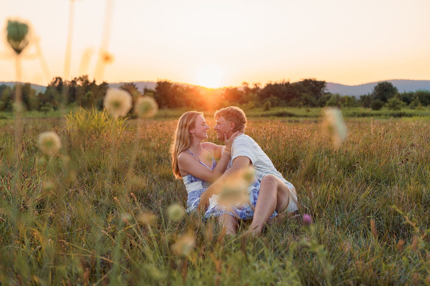 Couple kissing in a golden field at sunset, surrounded by wildflowers and lush green grass, in Frederick, MD