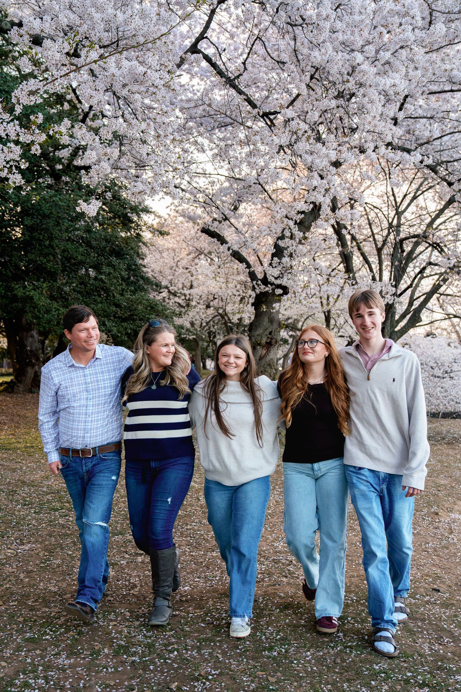 Family of five smiling and walking together under blooming cherry blossom trees in spring, in Washington DC during a family session