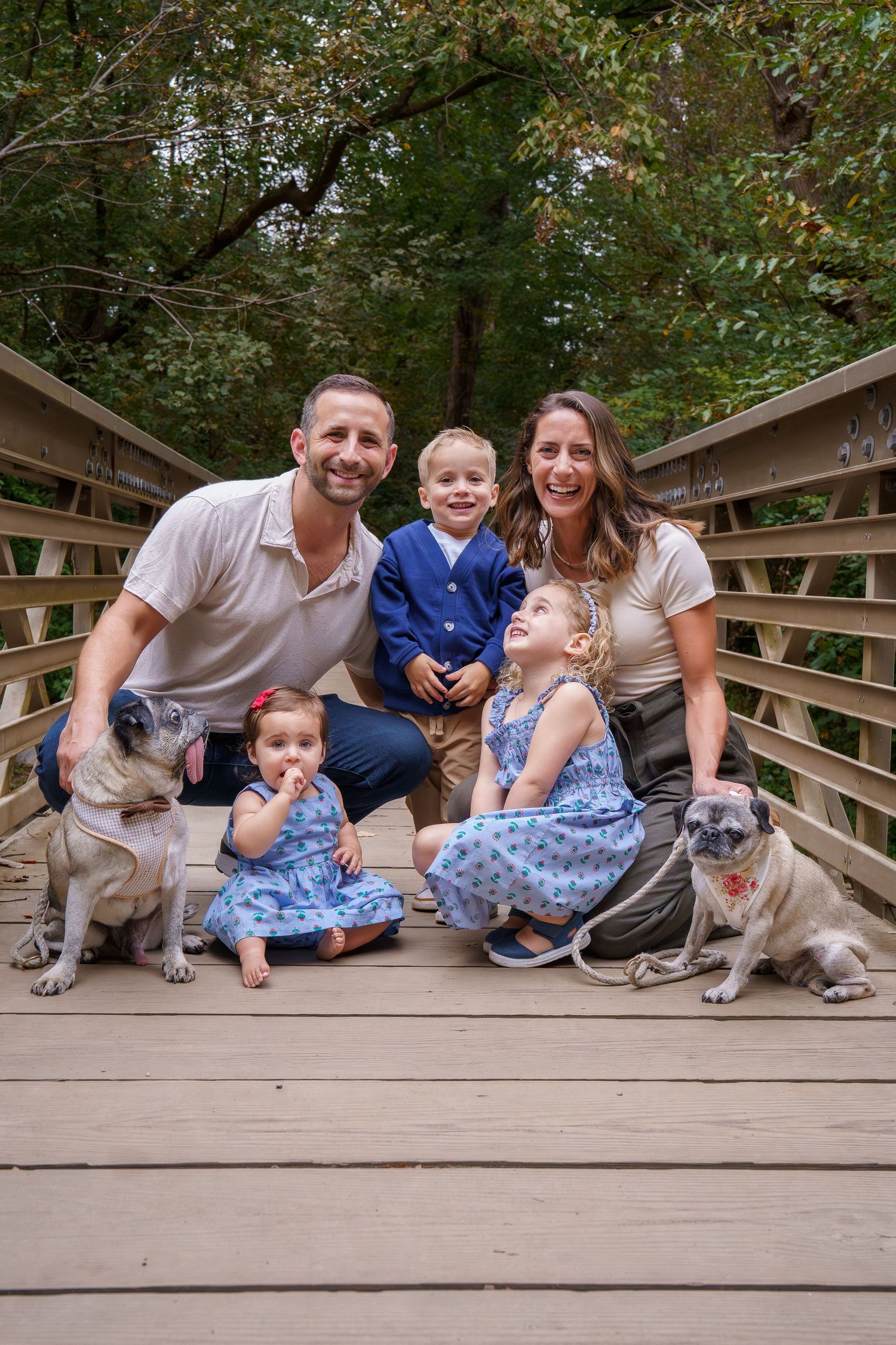 Family of four with two pugs posing on a wooden bridge surrounded by lush green trees for a portrait, in Bethesda, MD