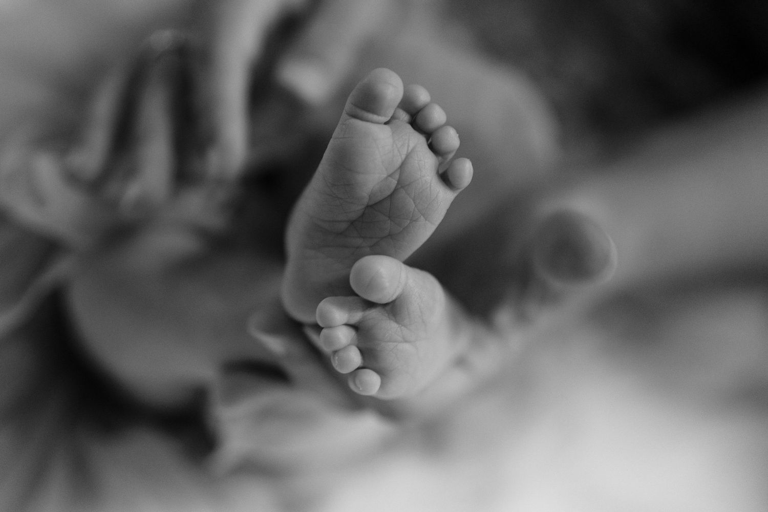 Close-up black and white photograph of tiny newborn baby feet with delicate toes in soft focus.