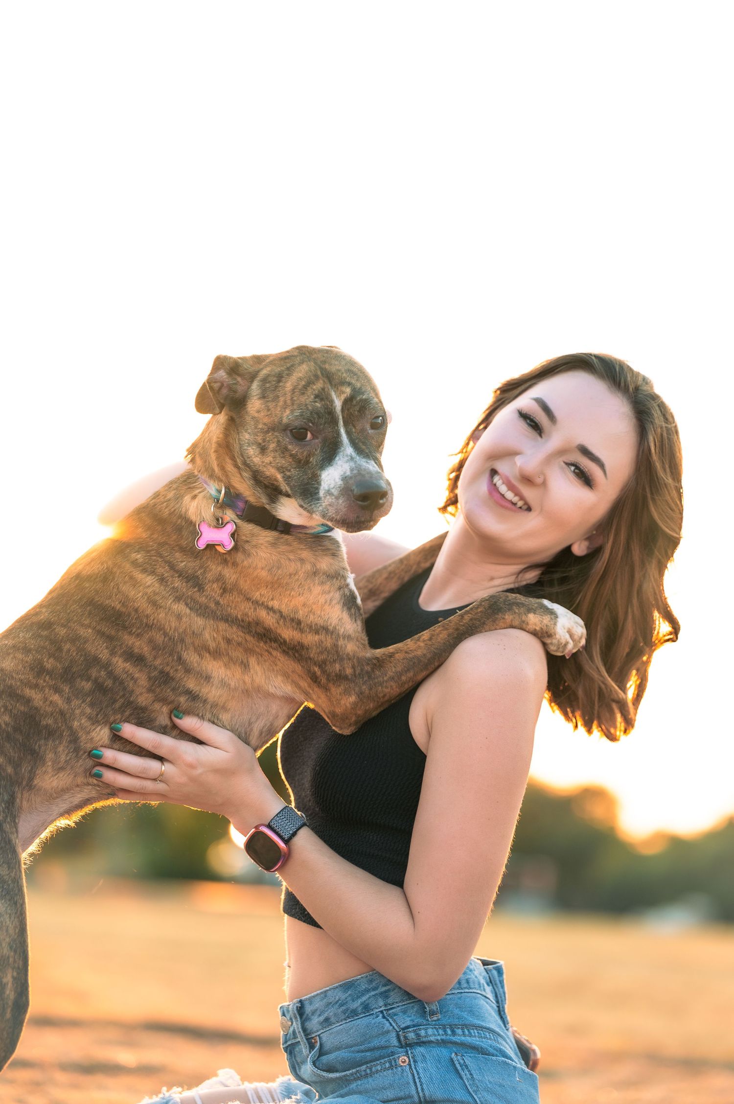 A happy brown dog and its owner share a joyful moment during golden hour.