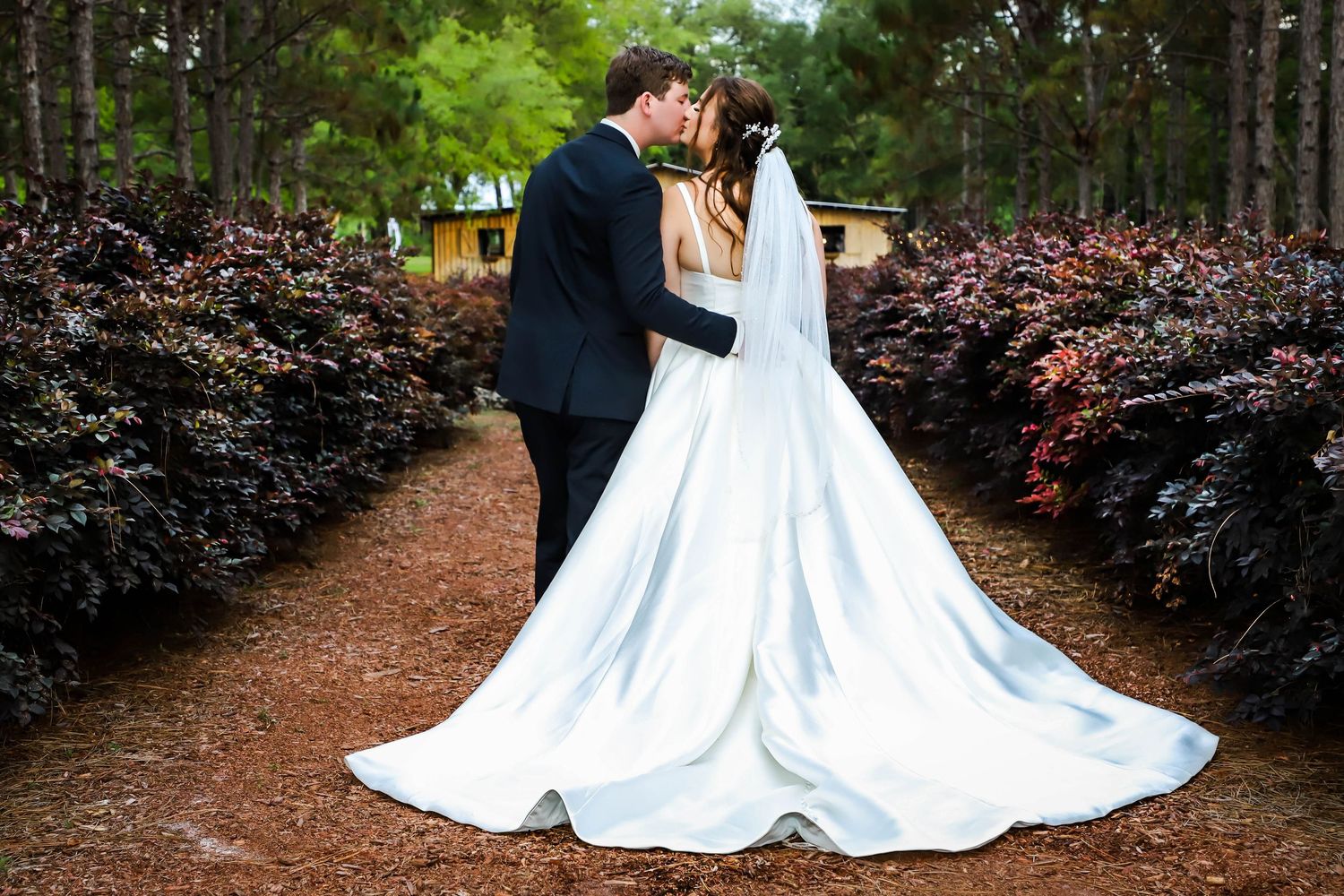 Bride and groom kissing on pine needle path flanked by dark foliage, bride in white gown with train in Highsprings Florida