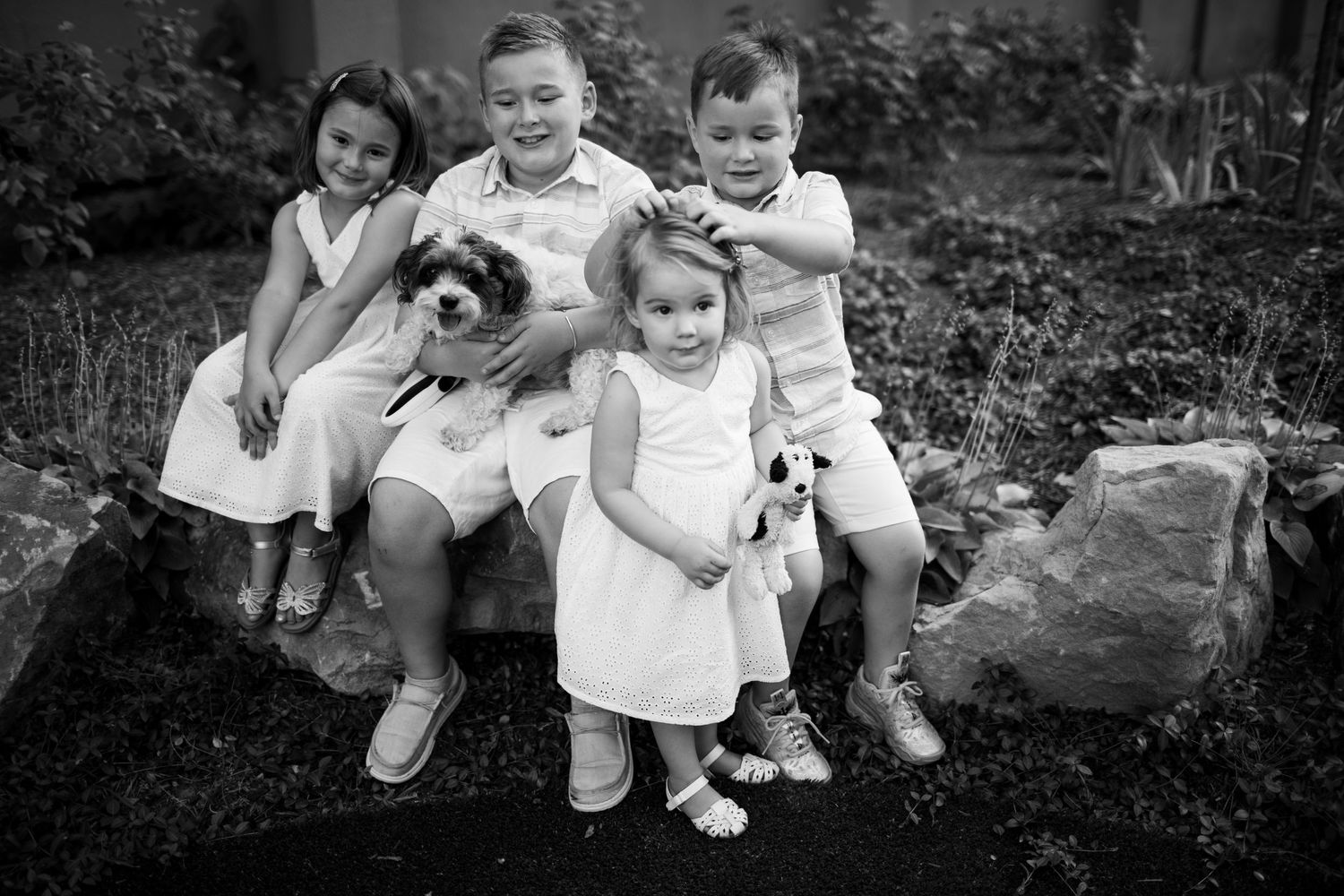 family photographer wheeling wv