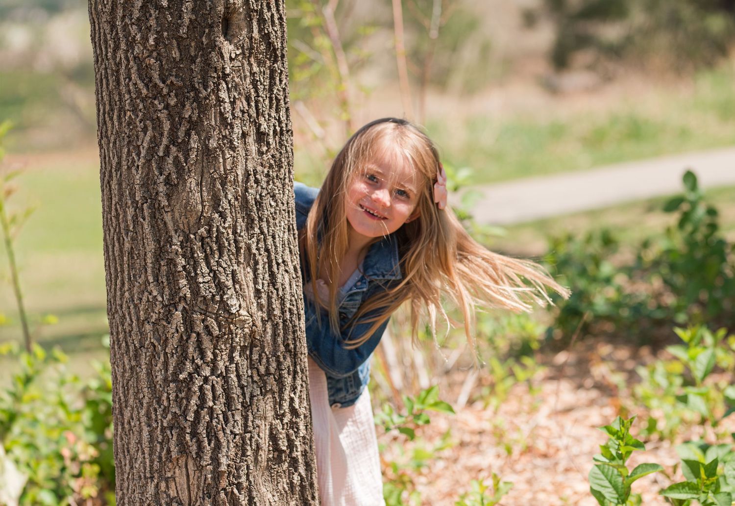 Playful portrait of 4 year old girl peeking around tree, outdoor Colorado family photography, natural light Denver photographer
