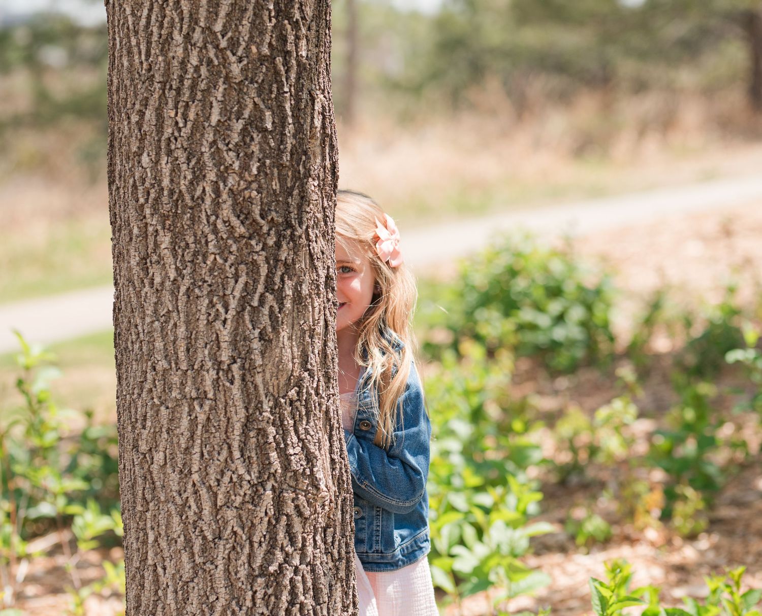Playful portrait of 4 year old girl peeking behind tree, outdoor Colorado family photography, natural light Denver photographer single mom