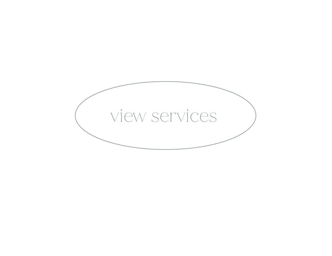 Simple gray website button displaying 'view services' text.
