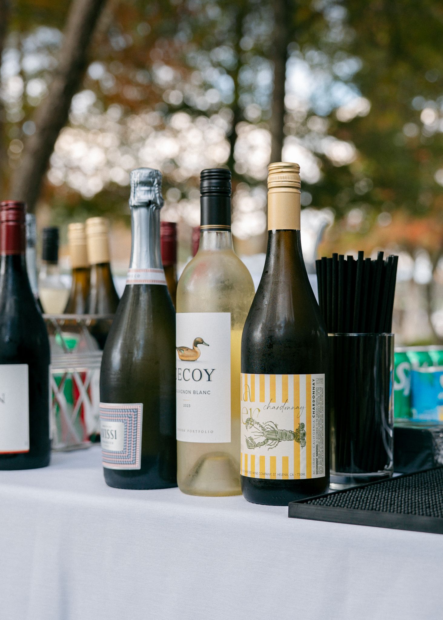 Collection of wine bottles and bar accessories displayed on table with natural backdrop.