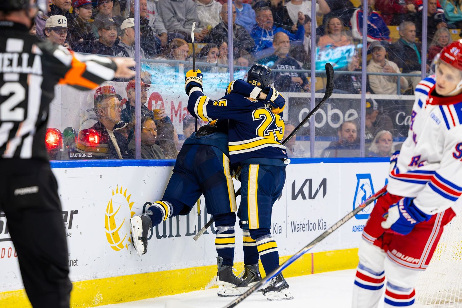 Erie Otters hockey players jumping against the boards to celebrate a goal during an OHL game.