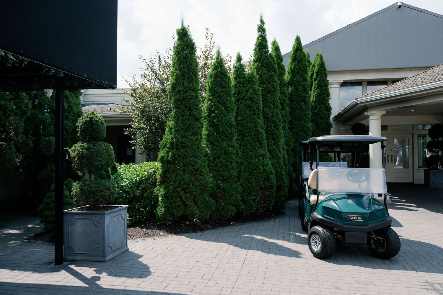 A teal golf cart parked on a brick patio beside tall green arborvitae trees near a building entrance.