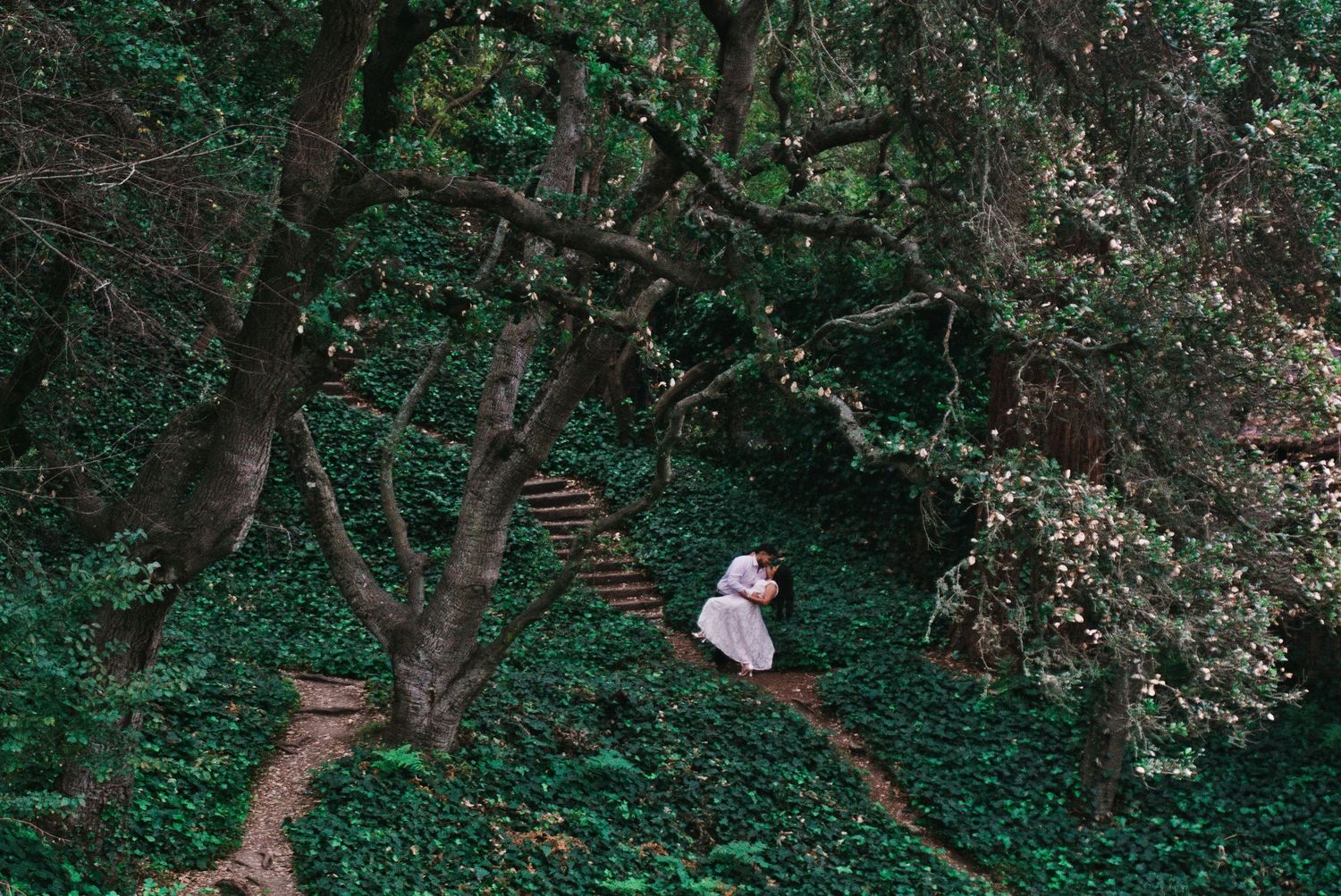 berkeley botanical gardens engagement photography