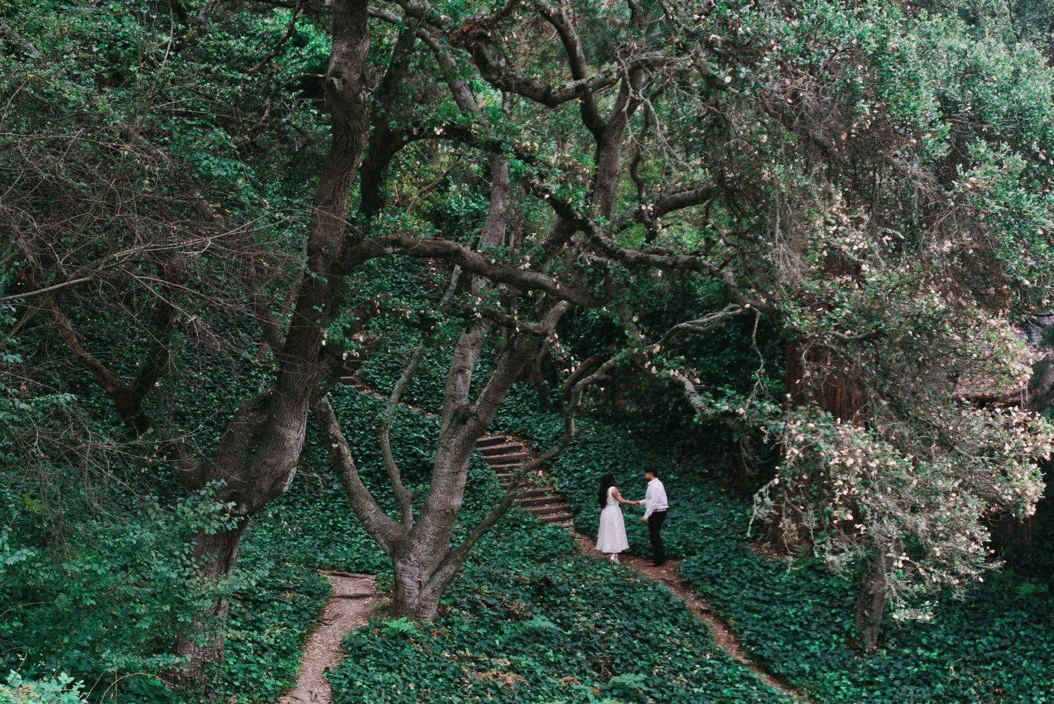 berkeley botanical gardens engagement photography