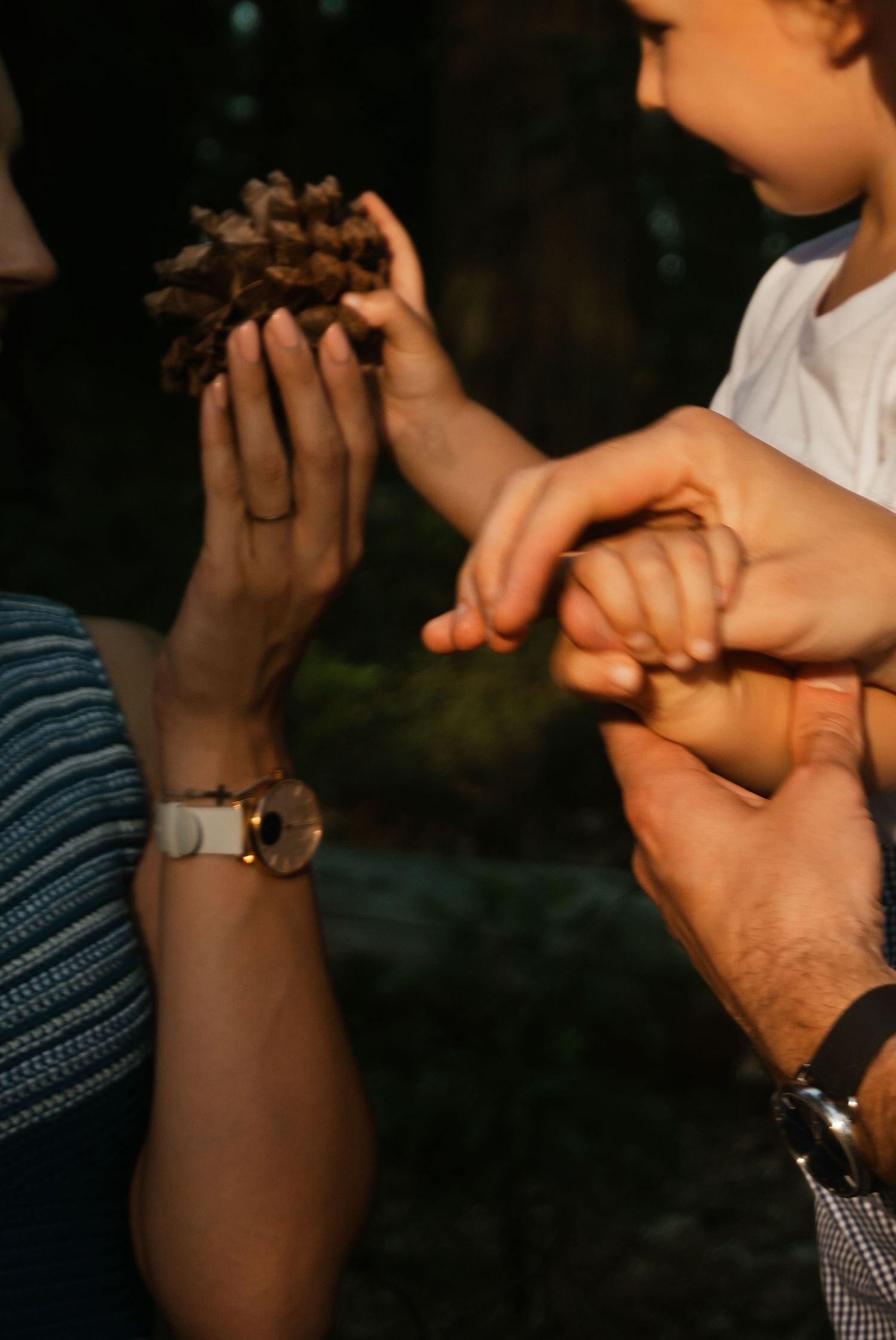 Family Photography