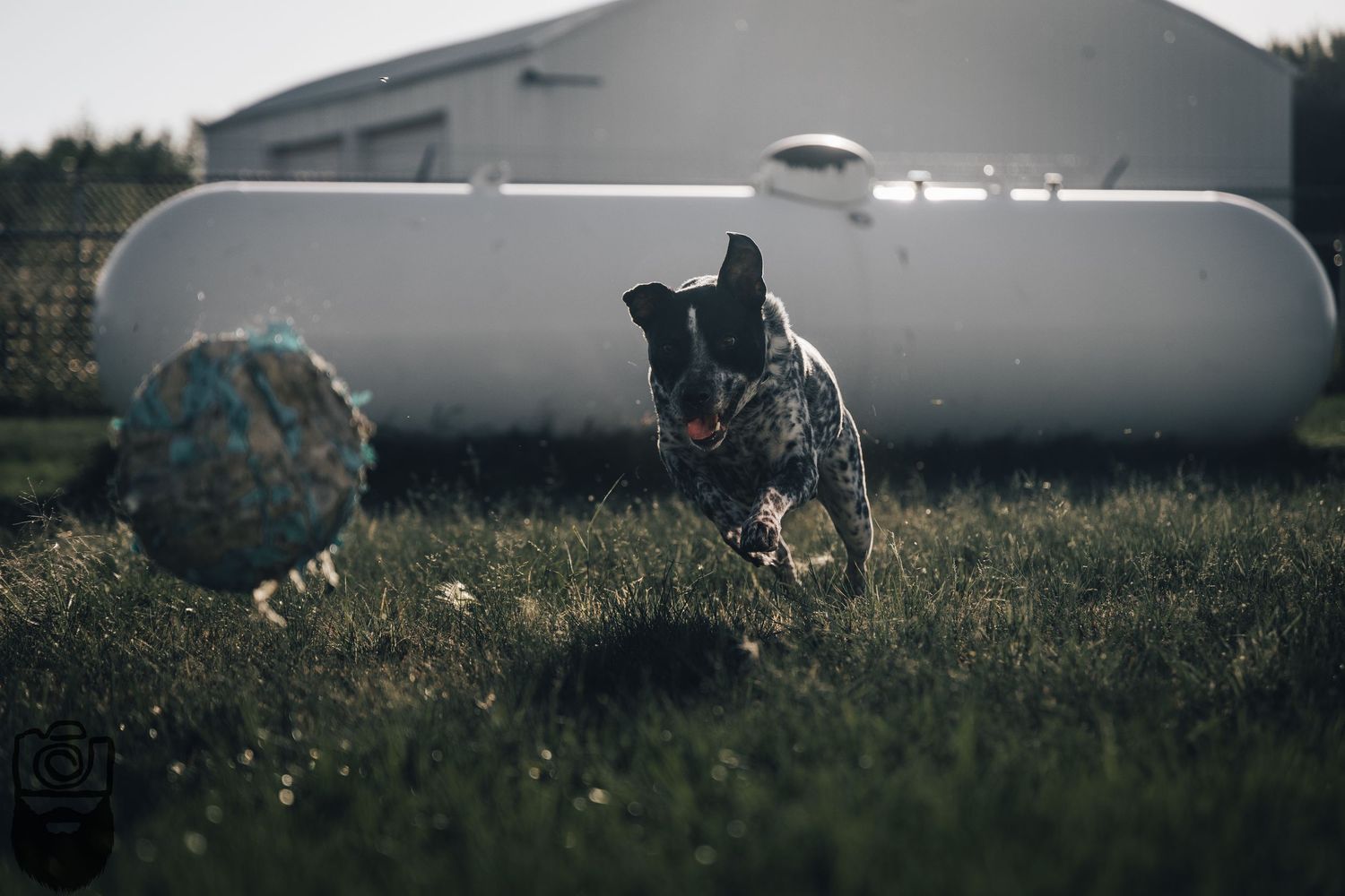 Large industrial wind turbine components resting on ground with dog in foreground.