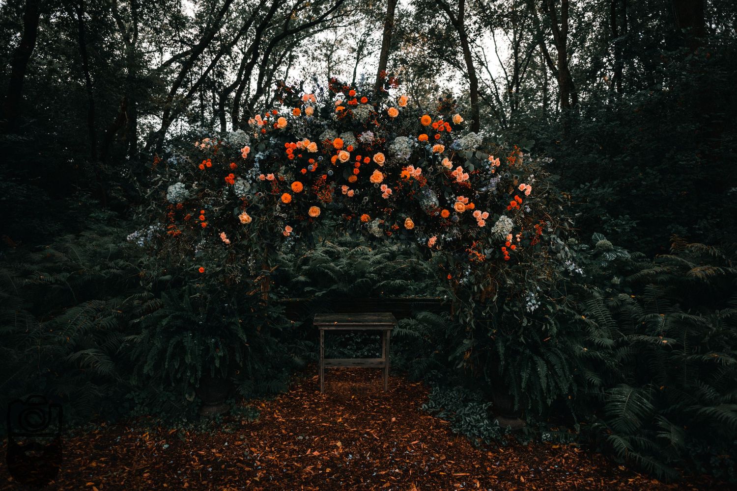 Dark forest path illuminated by warm orange lights creating a mystical autumn atmosphere.