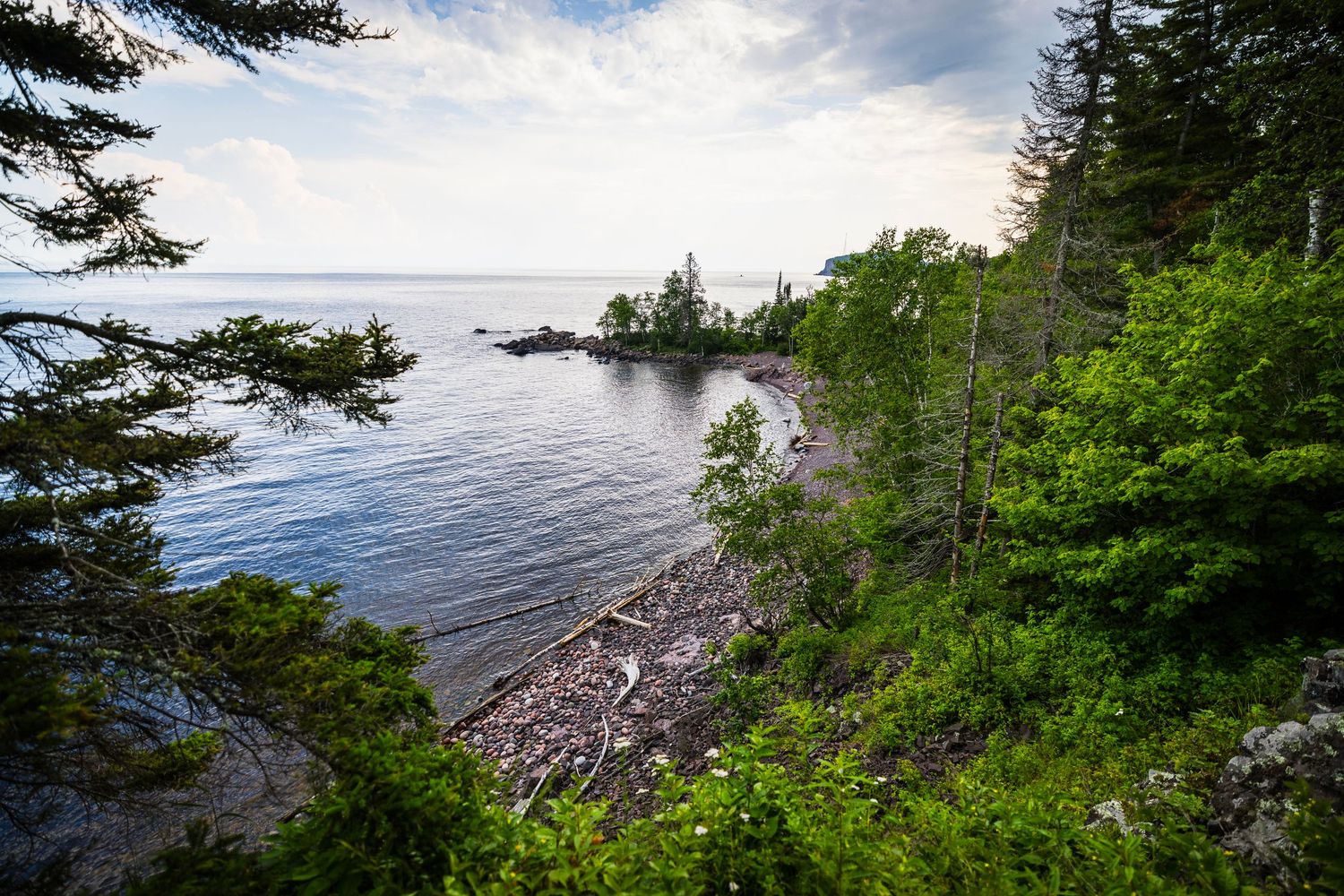 Scenic coastal landscape with evergreen trees and calm waters under a bright cloudy sky.