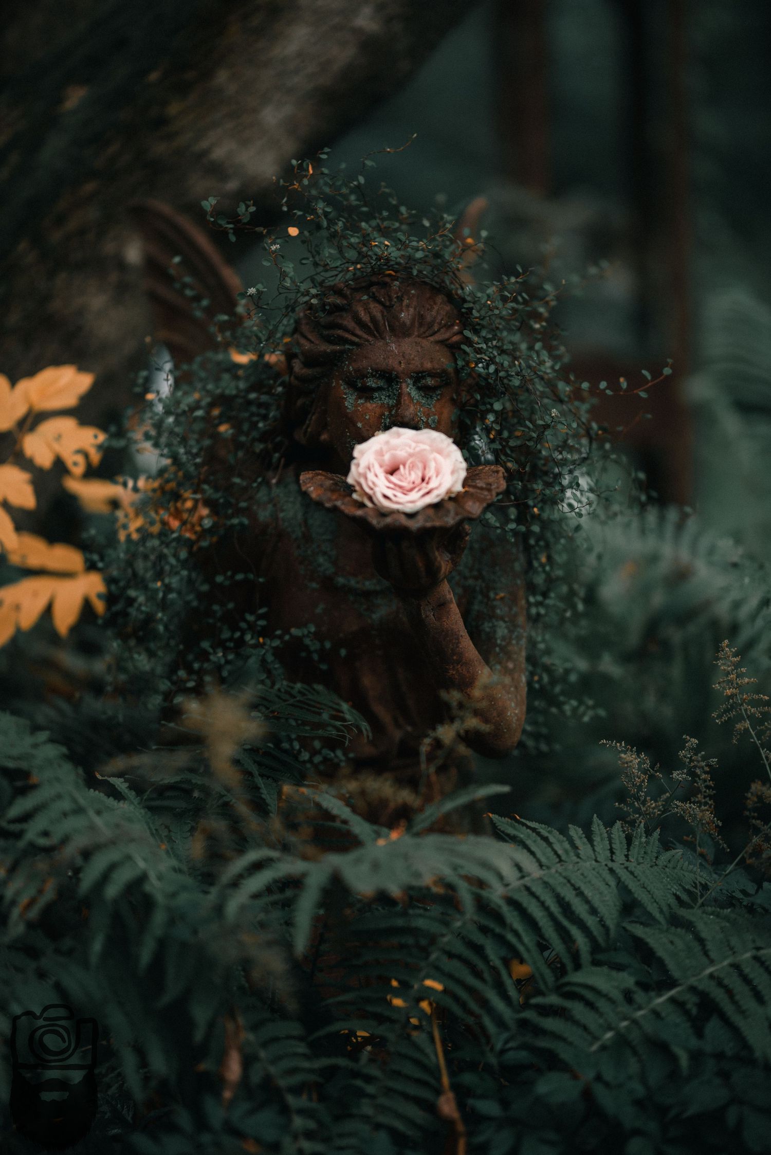 Pink rose bloom among dark ferns in moody forest setting.