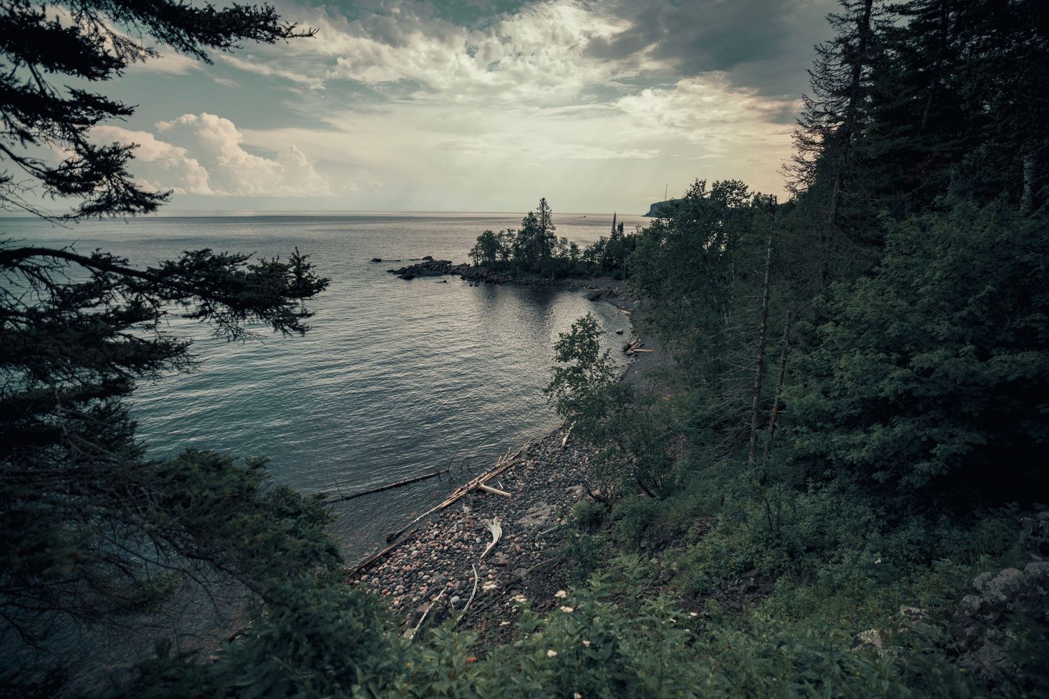 Dramatic panoramic view of a rocky coastline with evergreen trees and cloudy skies.