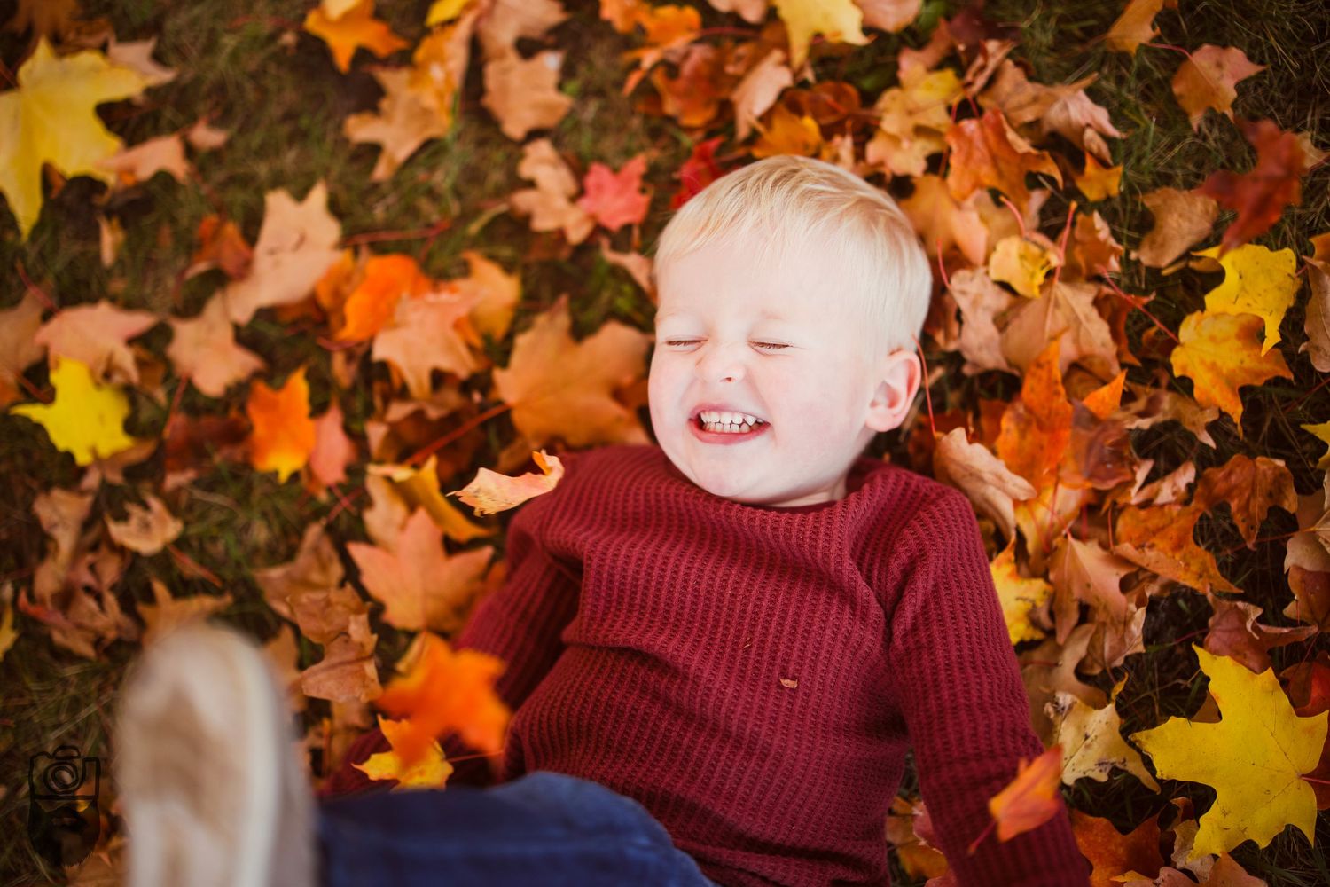 Autumn leaves in vibrant orange and yellow colors create a seasonal backdrop.