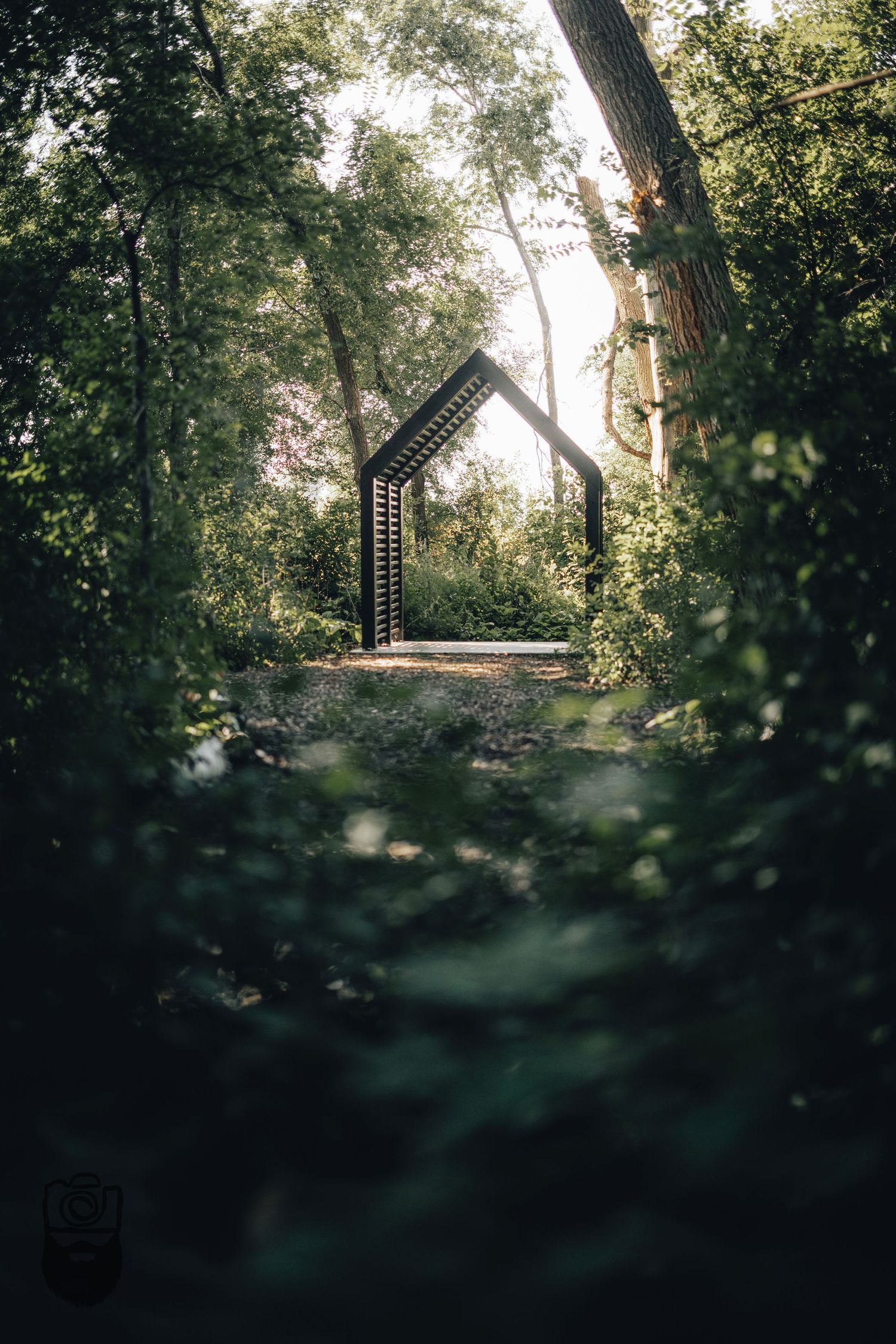 Misty forest path with a small structure visible in the distance through dense foliage.