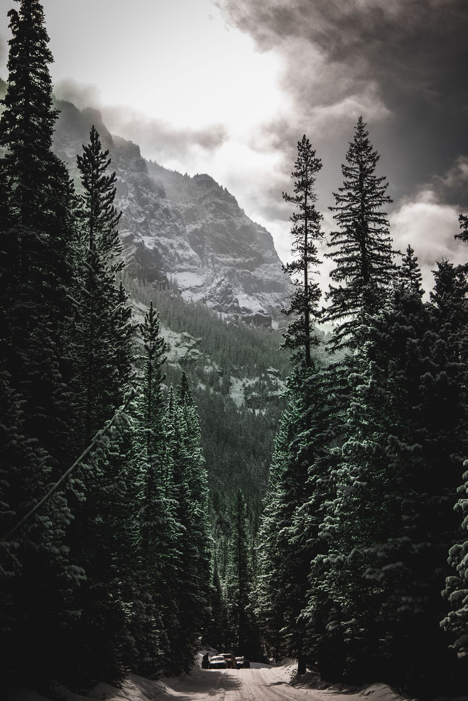 Dramatic mountain landscape with evergreen forest and moody storm clouds overhead.