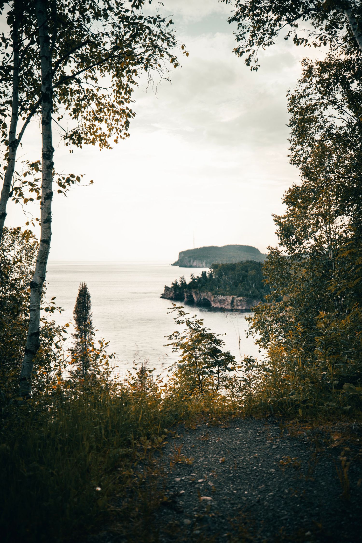 Rocky shoreline vista with autumn trees framing a distant island under overcast skies.