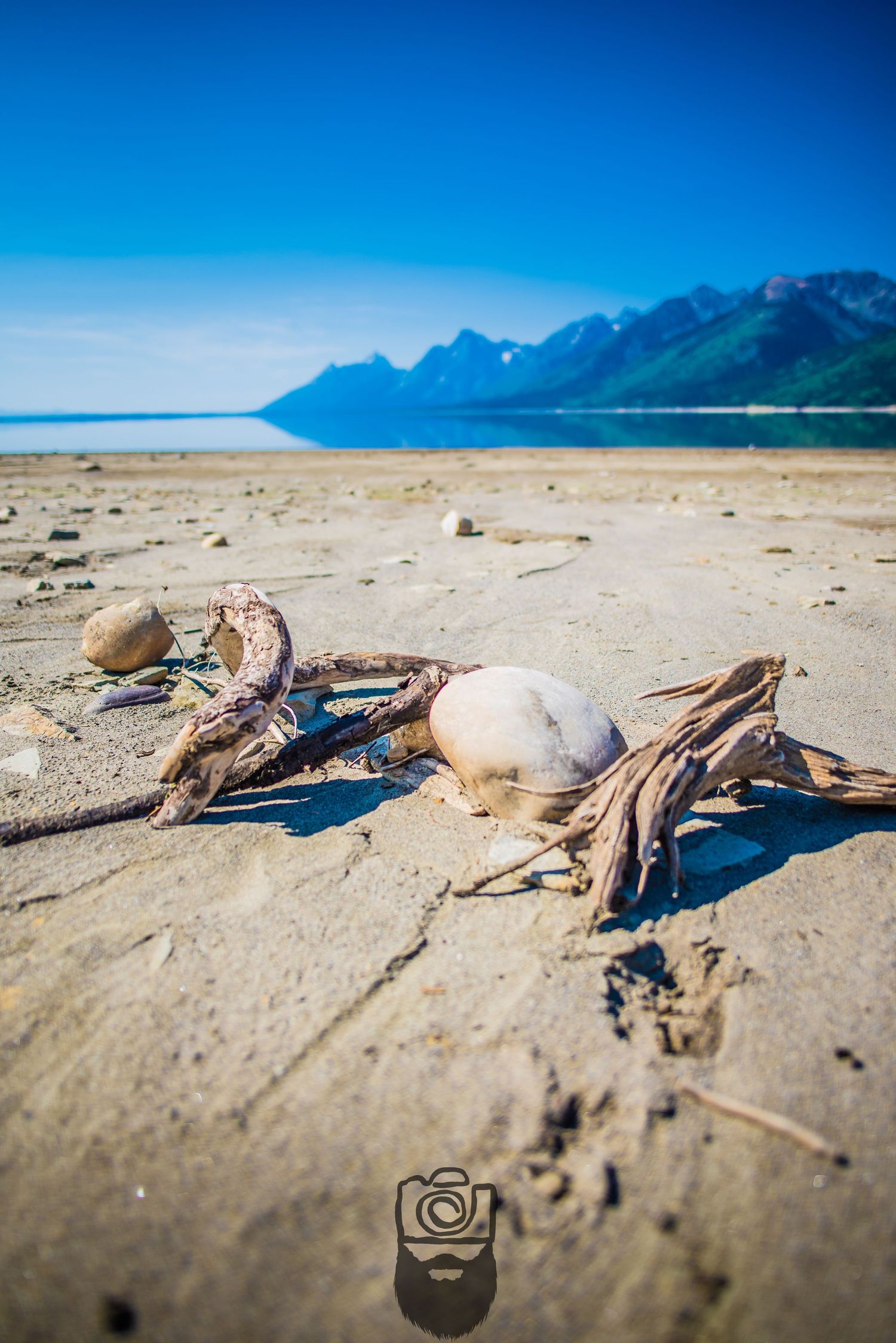Dead octopus washed up on sandy beach with mountains in background.