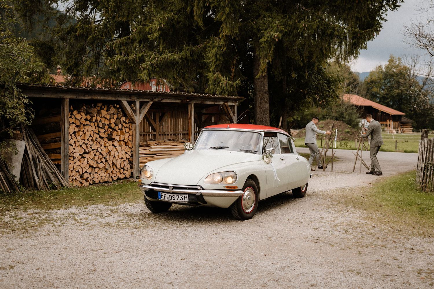 Vintage cars parked outside rustic wooden barn with stacked firewood.