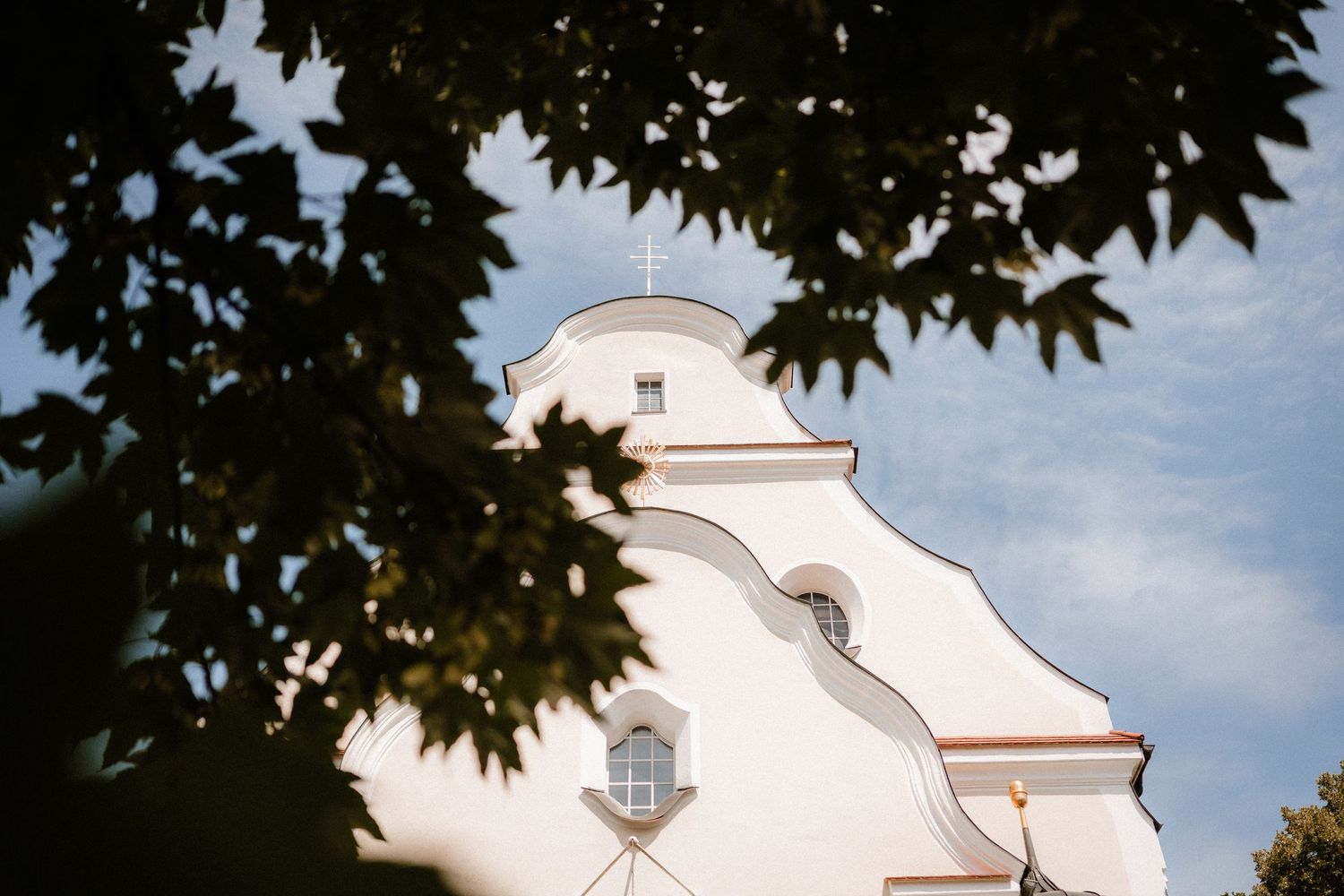 White church steeple framed by tree branches against blue sky.