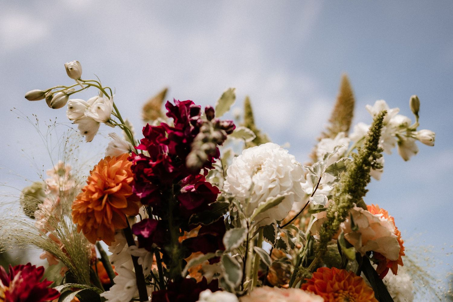 Close-up of vibrant floral arrangements with red, orange and white blooms against a blue sky.