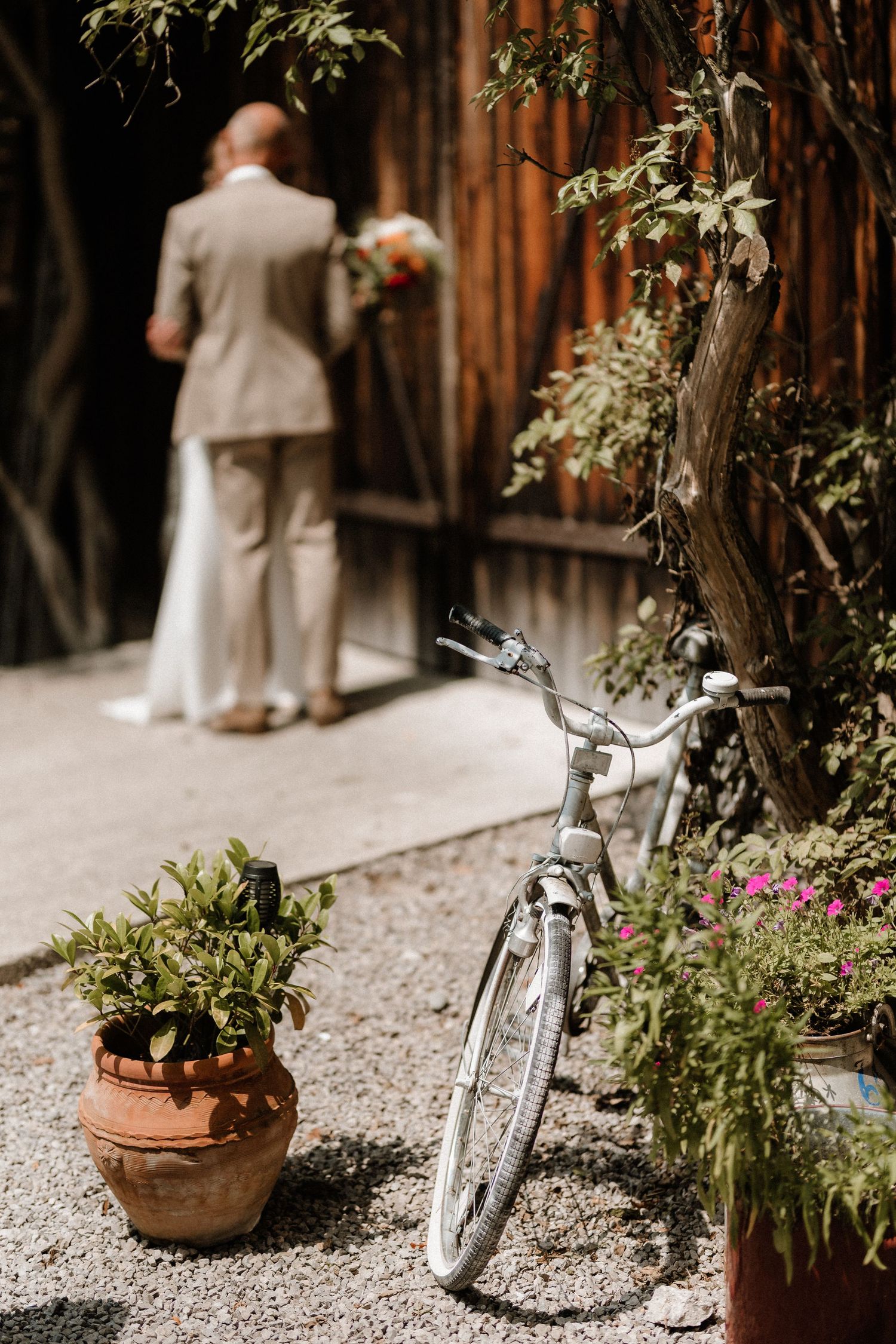 Vintage bicycle decoration with potted plants against a rustic wooden wall.
