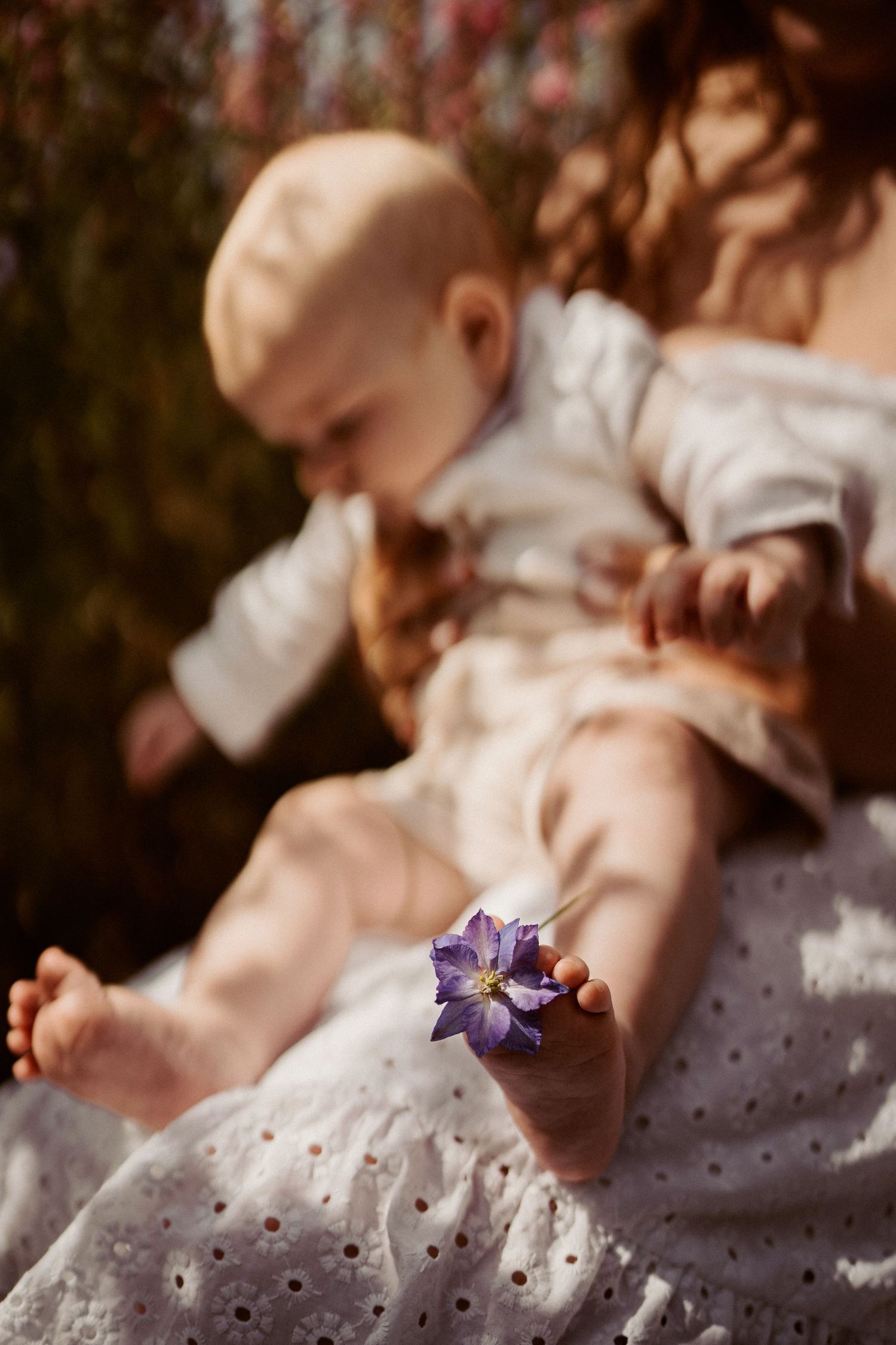 baby in the wildflower meadow — flower field mini sessions