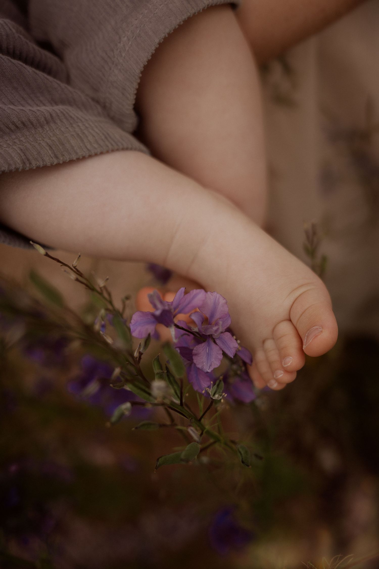 Baby’s feet resting among wildflowers during a soft outdoor documentary family photoshoot in Confetti field