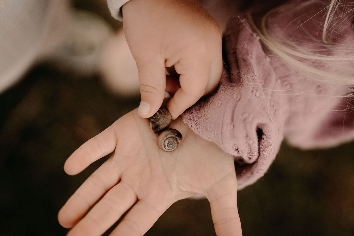 A child holds a snail gently in their palm during a nature-inspired, outdoor family photography session led by the child.