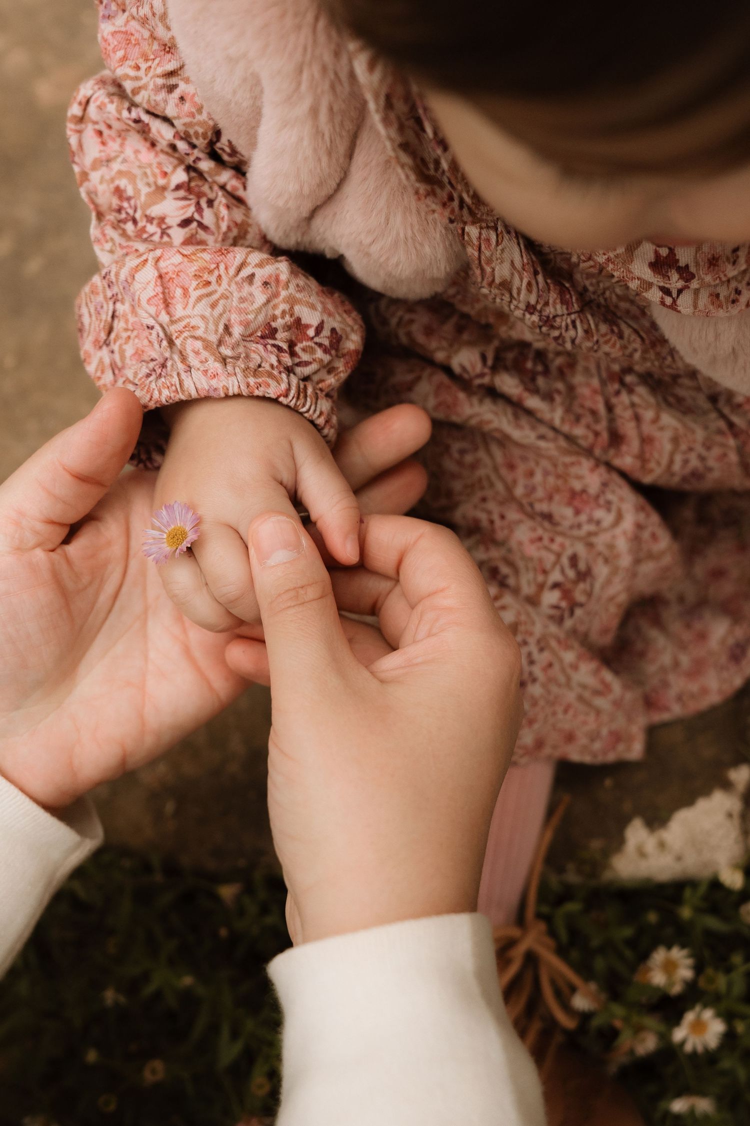 Child holds a tiny daisy between fingers during a gentle outdoor family storytelling session in Swadlincote