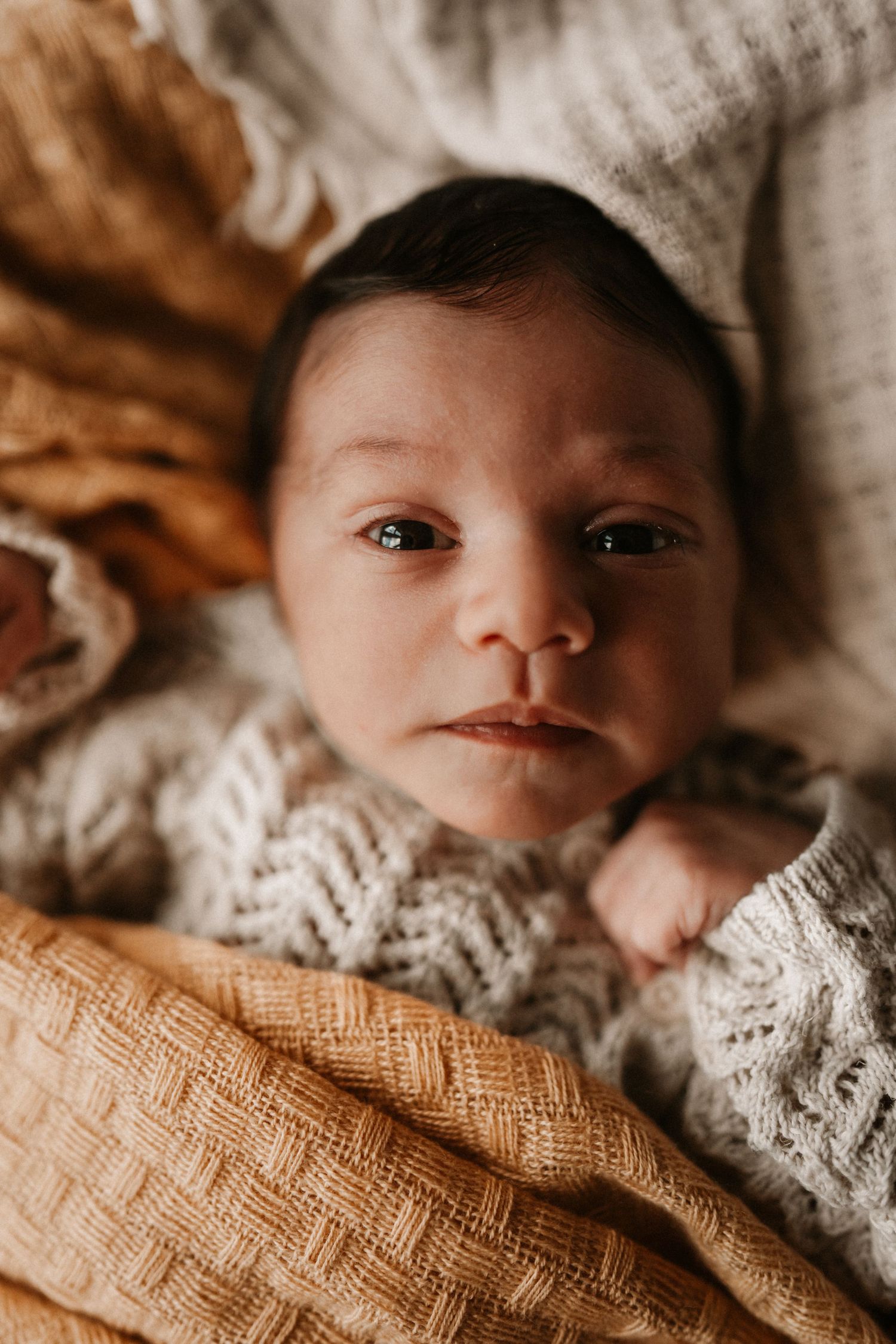 Newborn lying awake on textured blankets during a calm lifestyle newborn photoshoot with Soft Stories by Angela