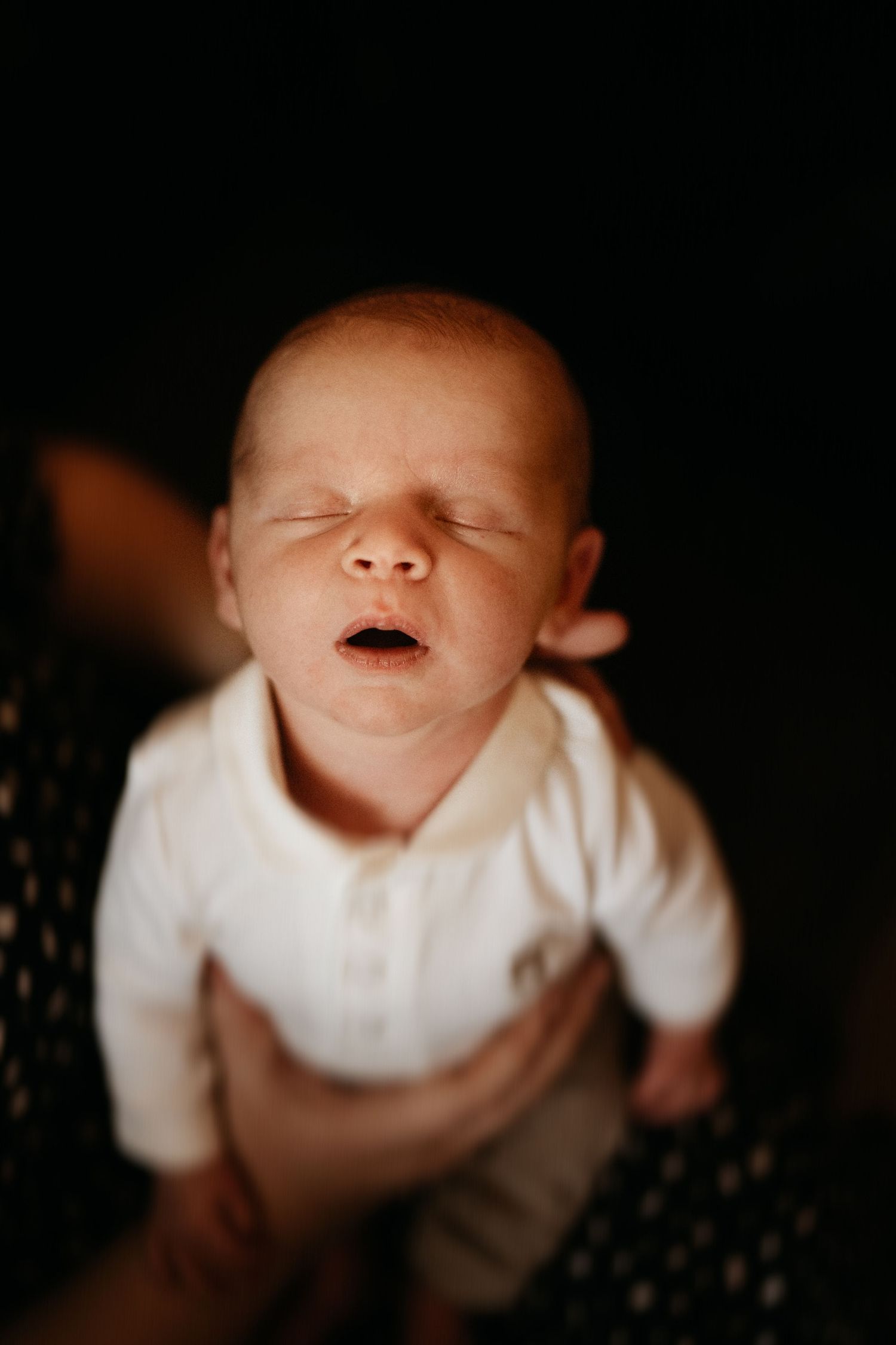 Newborn baby stretches and yawns in soft natural light during an at-home photoshoot in Woodville