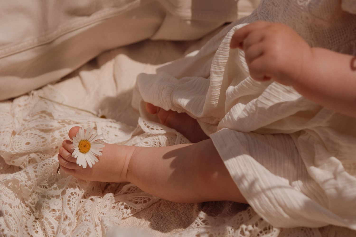 Baby’s tiny feet and hand touch a daisy on a lace blanket during a delicate outdoor family session in Swadlincote