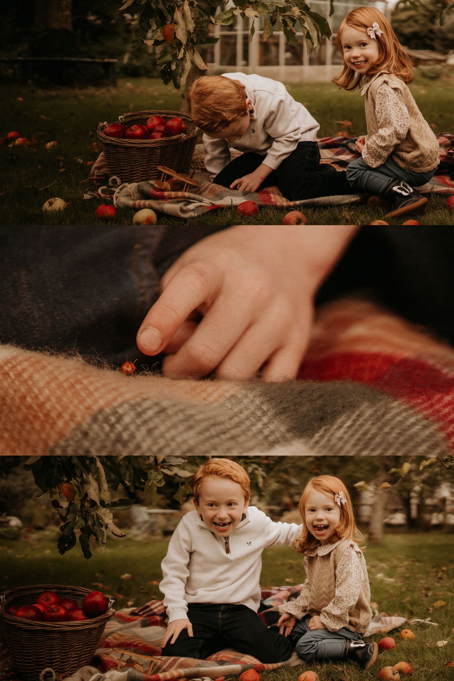 Two siblings play and laugh together at an apple orchard during an autumn family storytelling session.