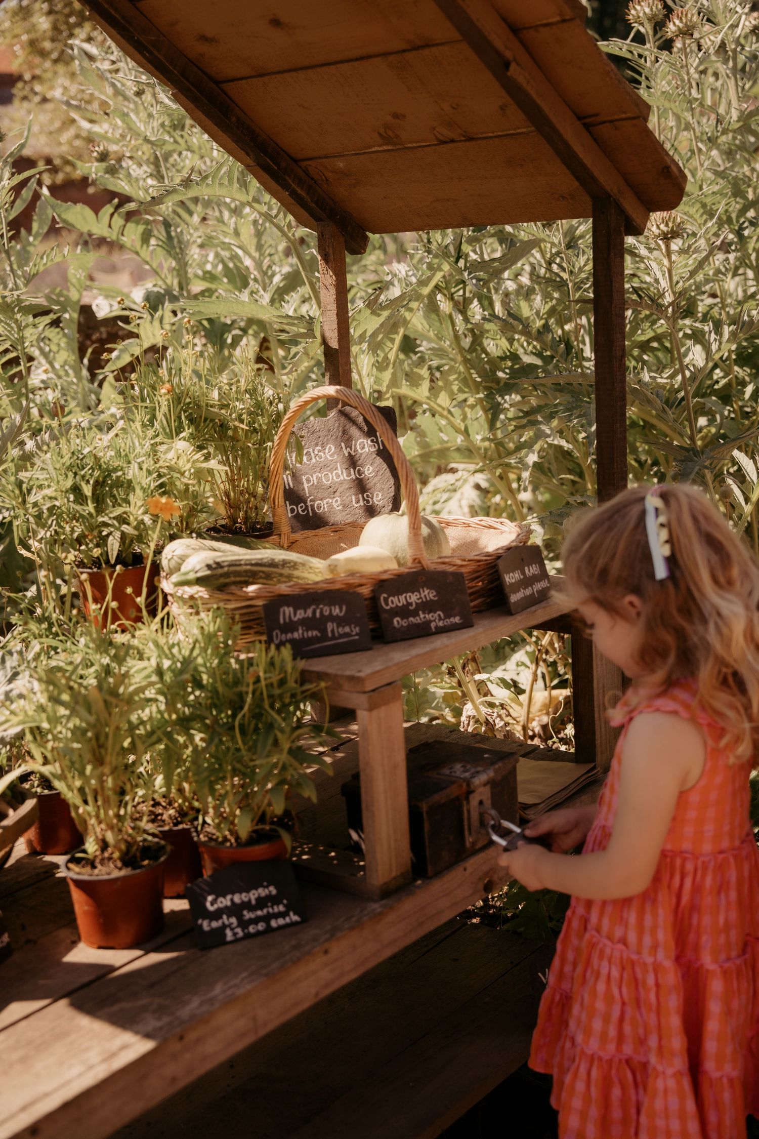 Girl in orange dress explores a wooden stall filled with potted herbs and tiny chalk signs