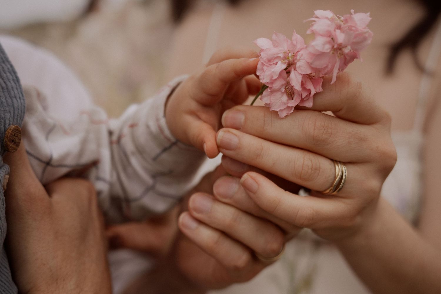 Small fingers and steady hands meeting over a pink flower, a quiet moment of closeness during a mini photoshoot.