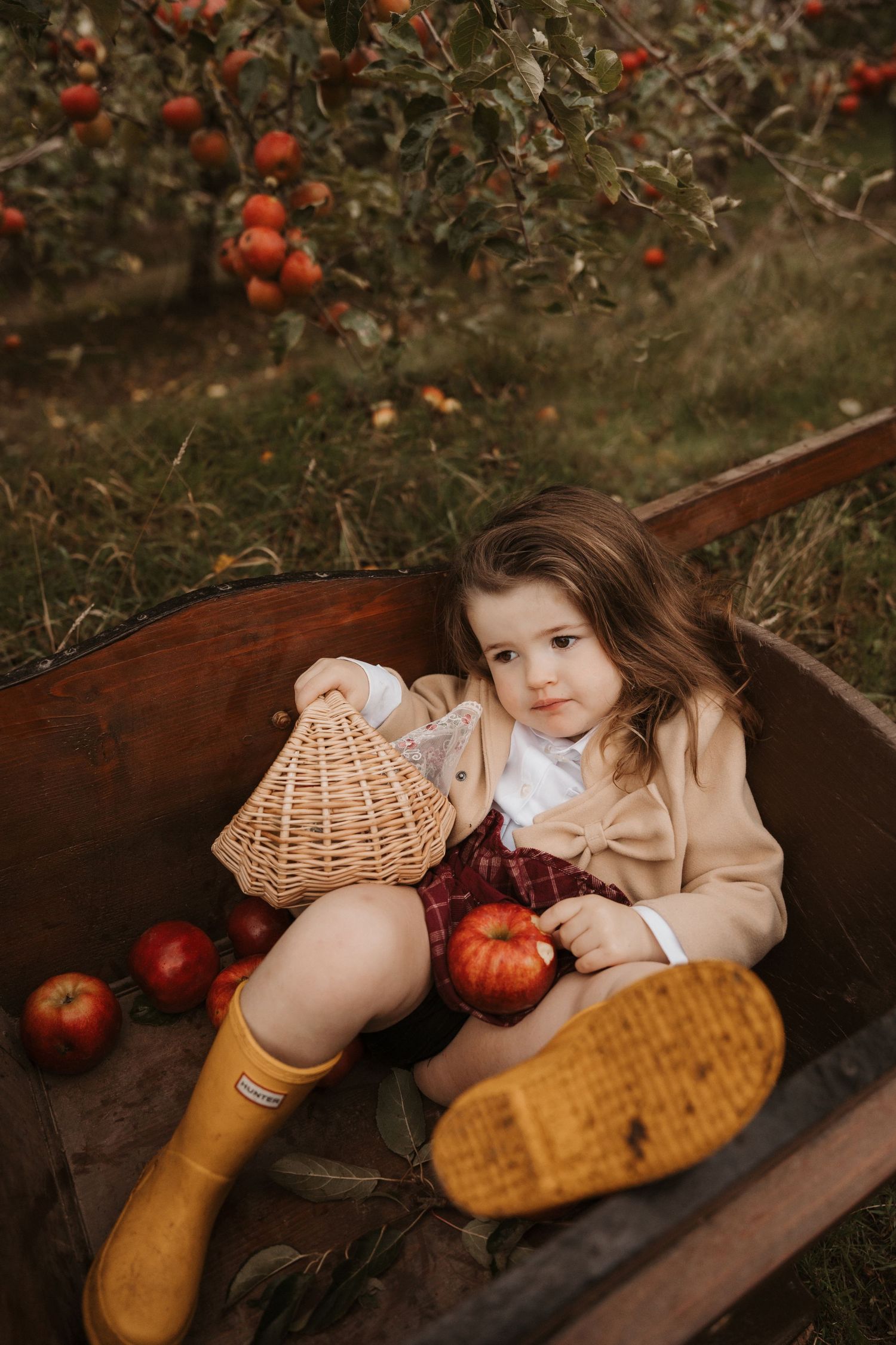 Young child sitting in a wooden cart at an apple orchard, holding fruit and wearing yellow boots, captured in a natural outdoor photoshoot