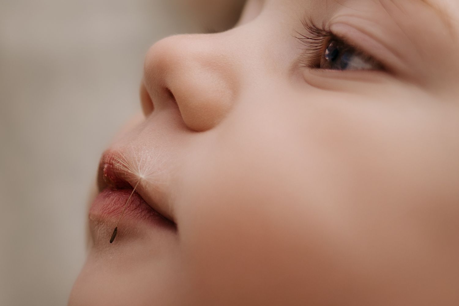 Close-up of a baby’s soft face and eyelashes during a natural storytelling photoshoot in Swadlincote with a dandelion seed on the lips