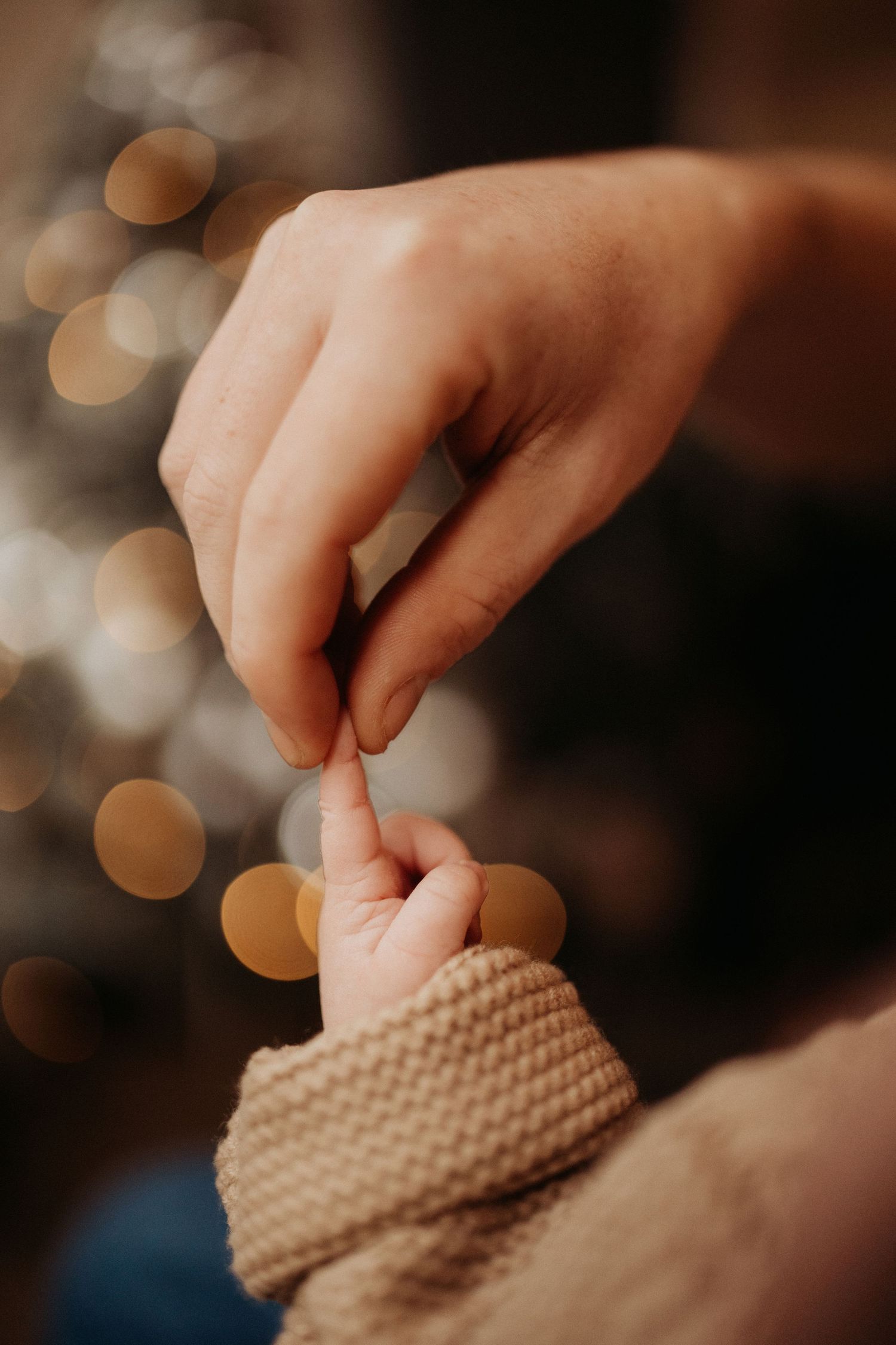 Parent holding a newborn’s tiny hand during a warm natural light lifestyle newborn detail shot.