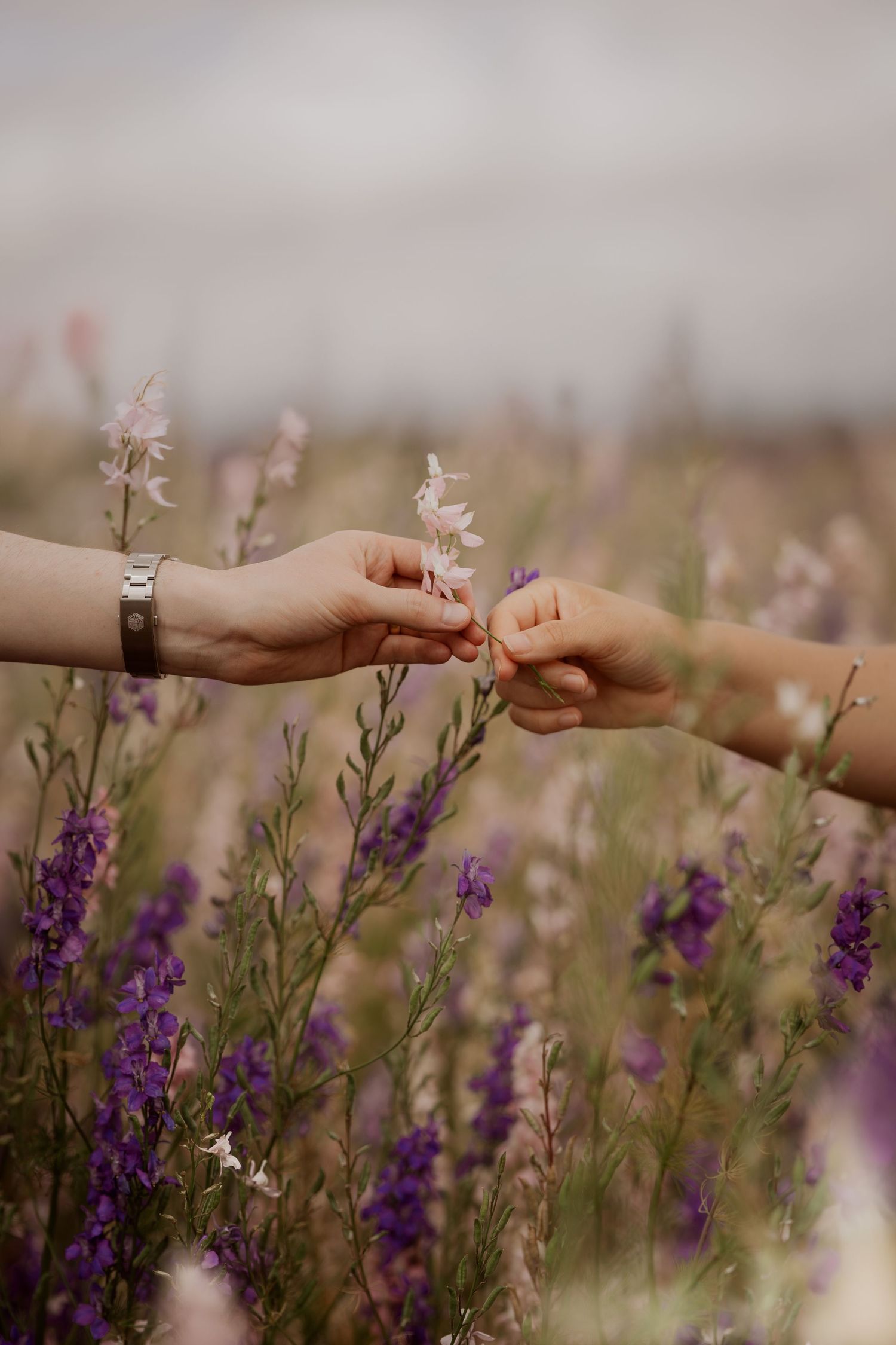 Parent and child holding hands among wildflowers during a natural documentary family photoshoot.