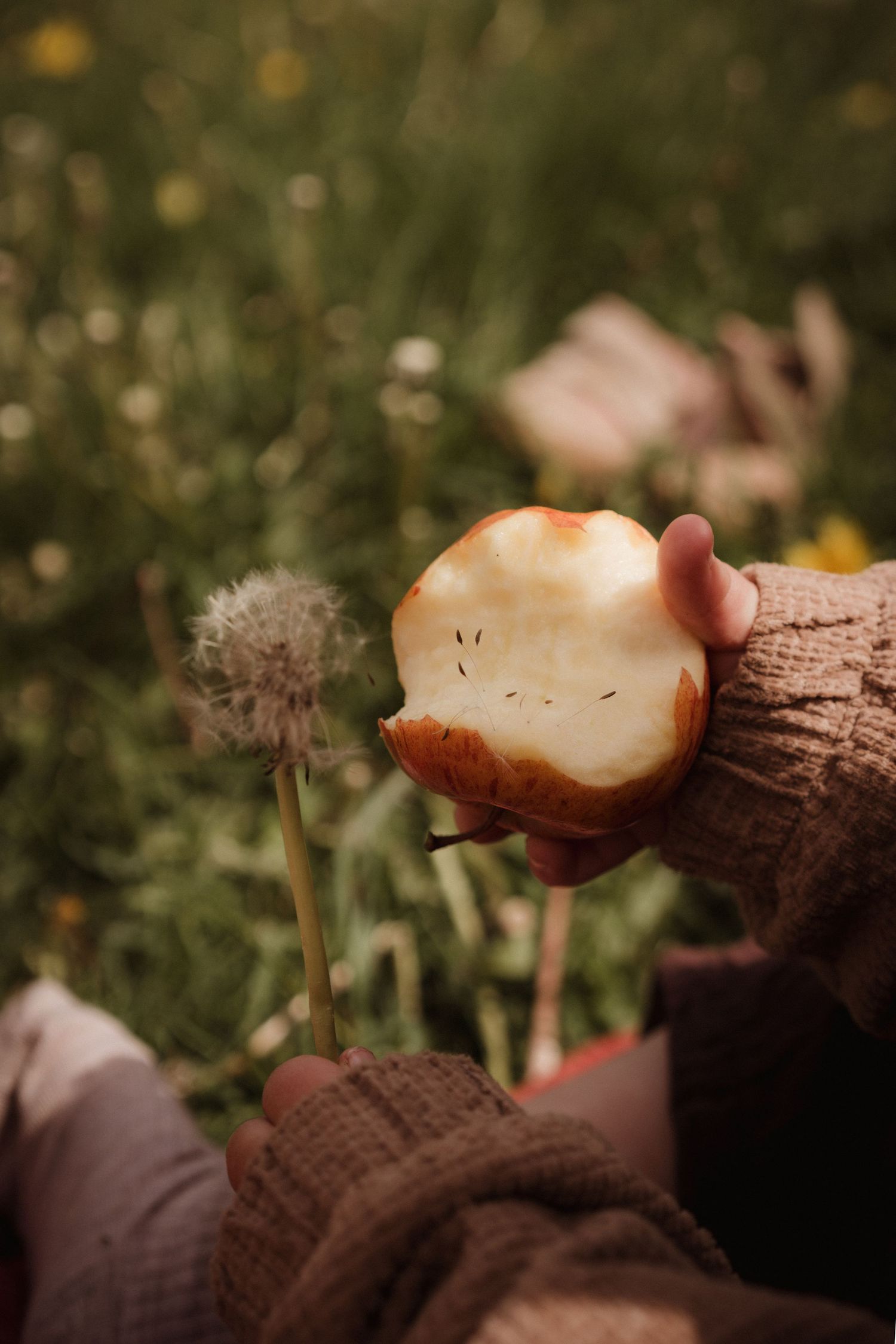 Child holding a bitten apple in a meadow during a natural outdoor documentary storytellign childhood photography moment.