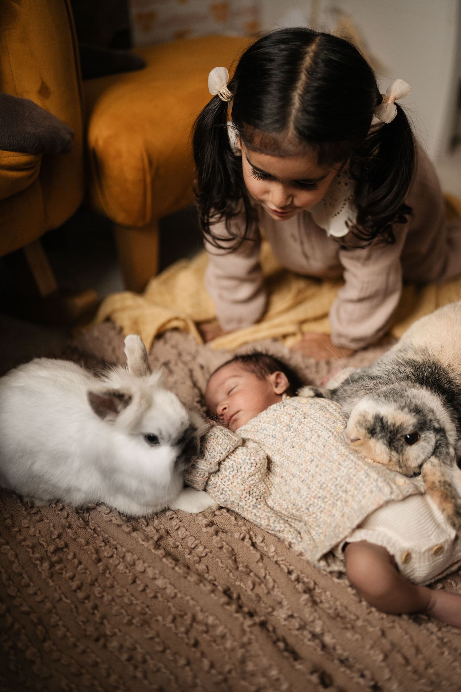 Child watching her newborn sibling with family pets during a cosy storytelling newborn photoshoot.
